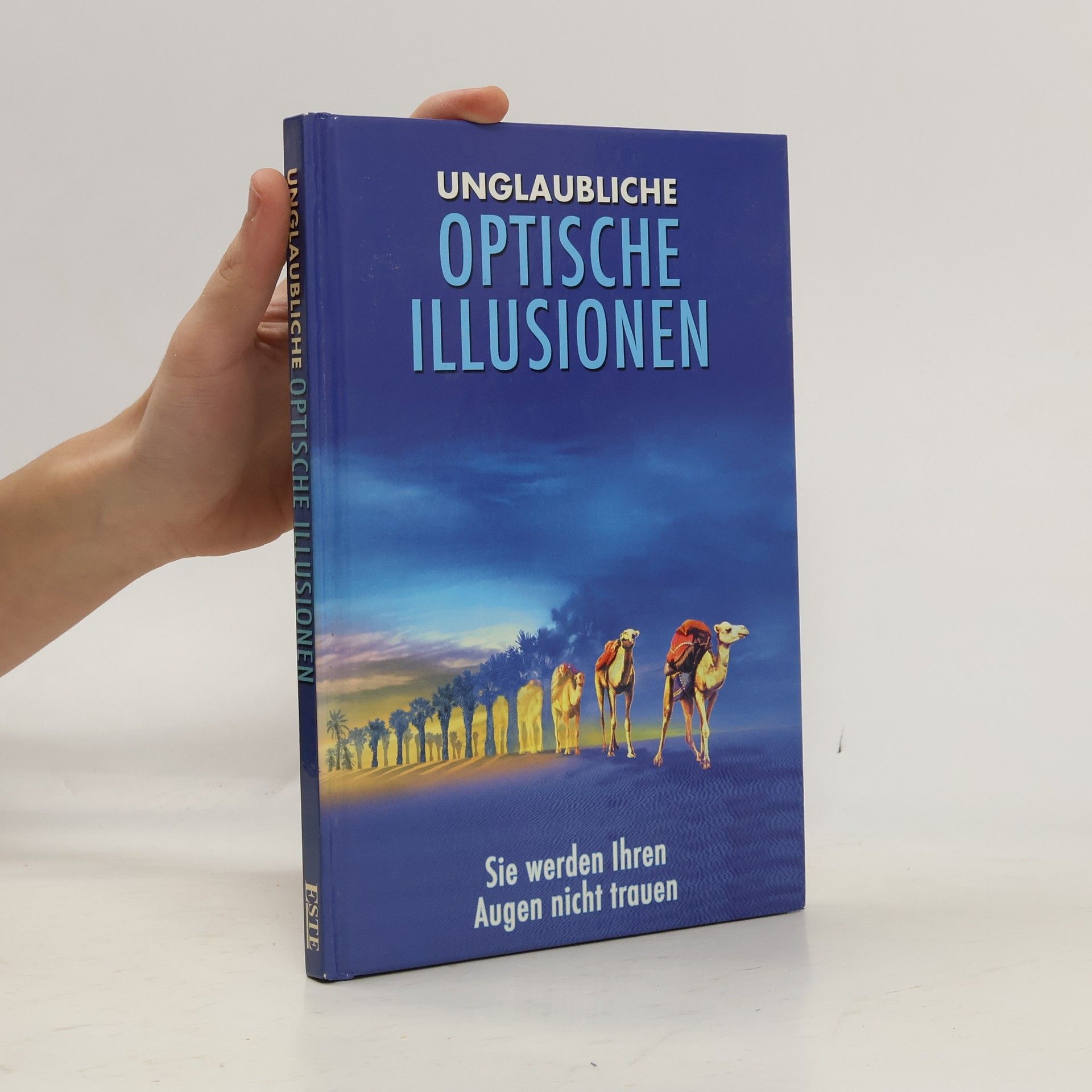 Kolektiv autorů Optische illusionen