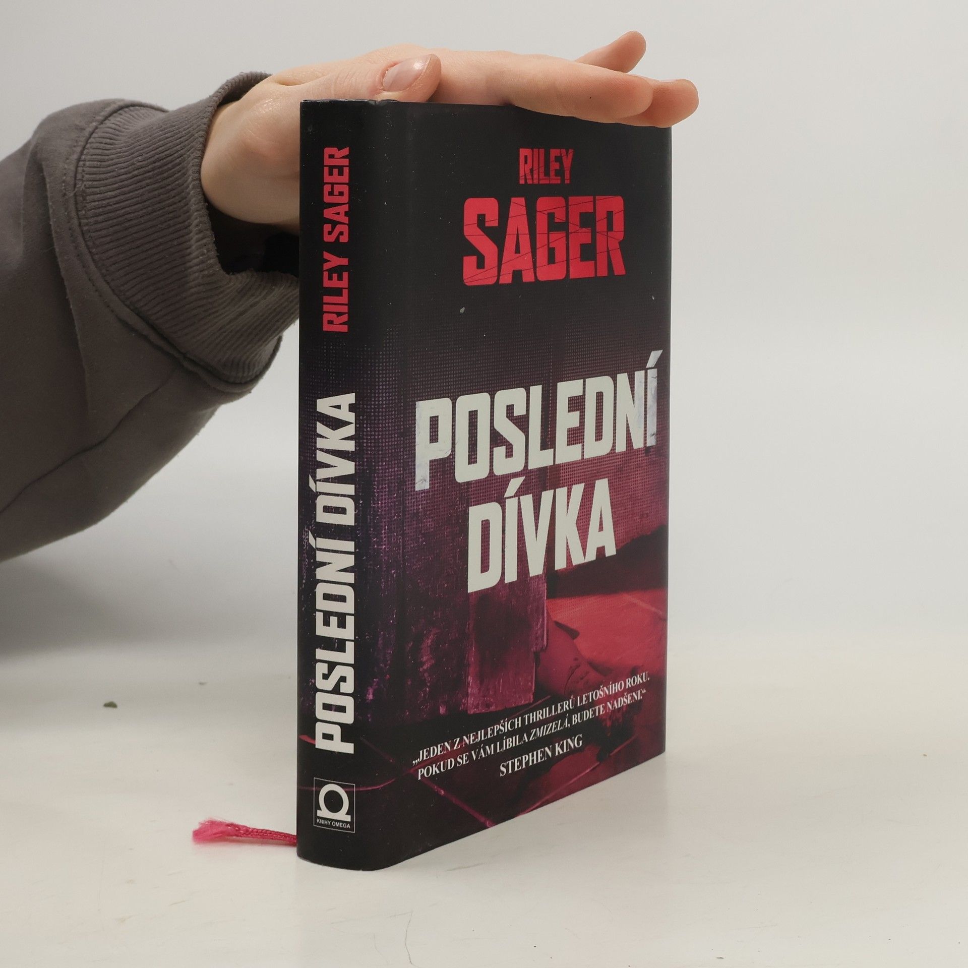 Todd Ritter Poslední dívka