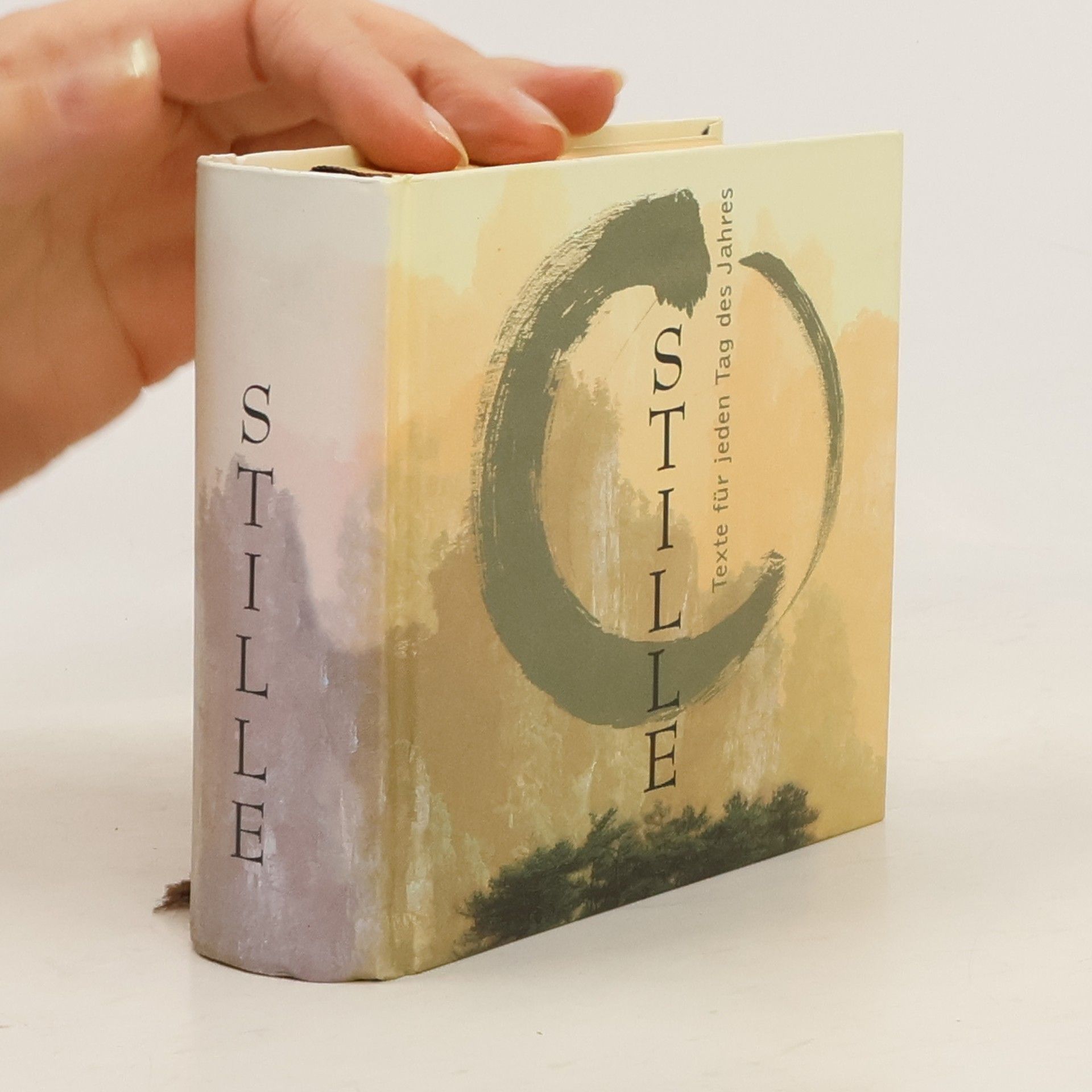 David Schneider Stille