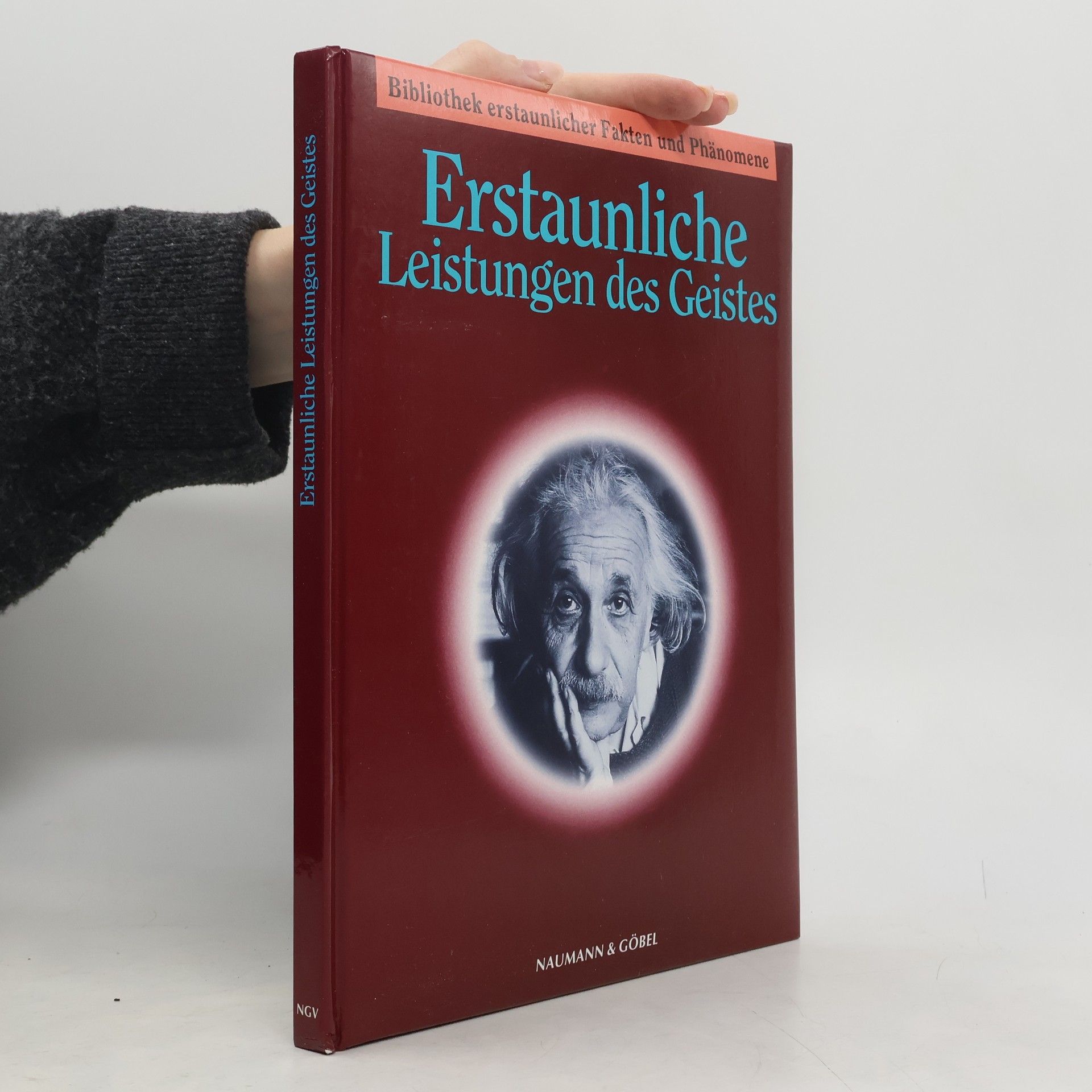 Kolektiv autorů Erstaunliche Leistungen des Geistes