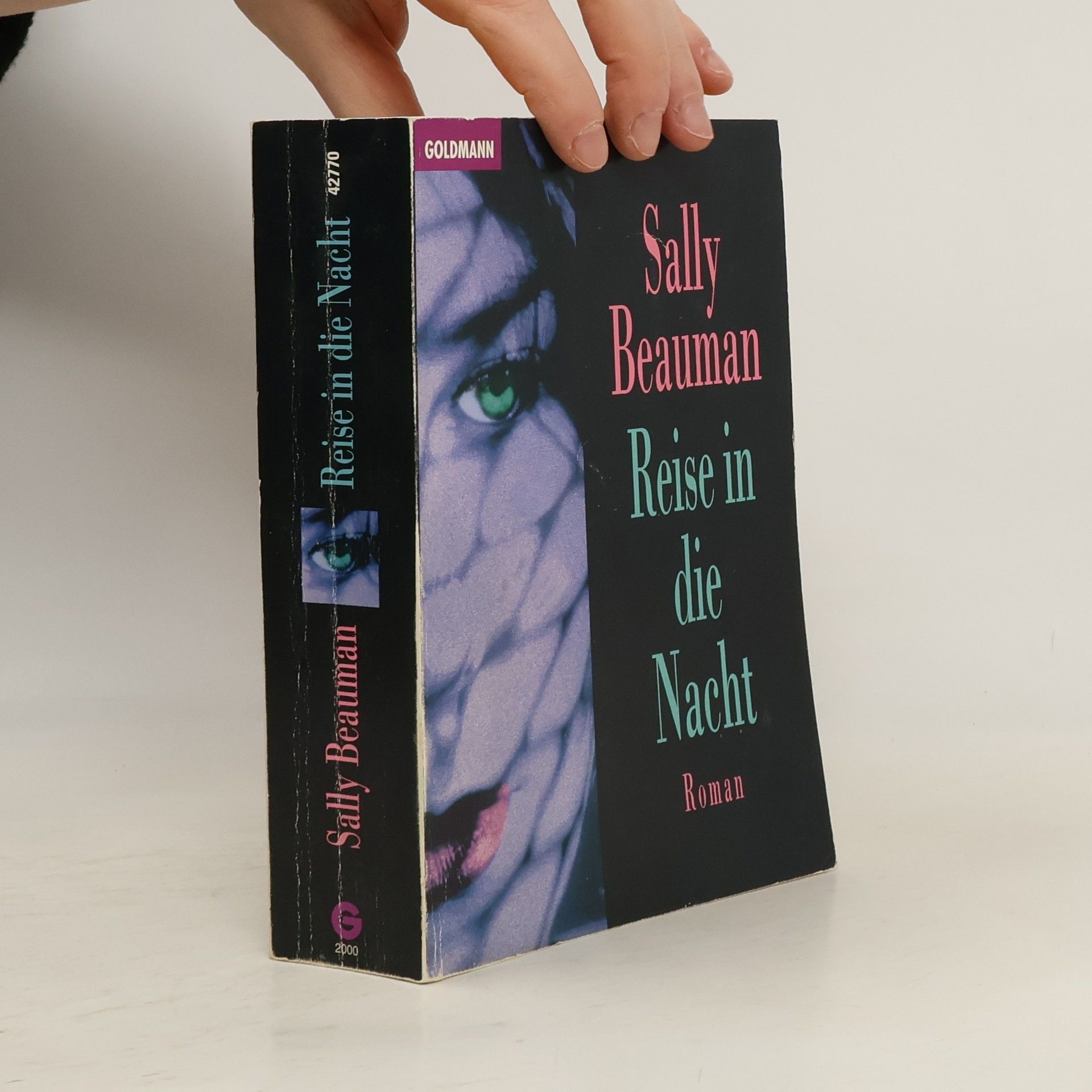 Sally Beauman Reise in die Nacht