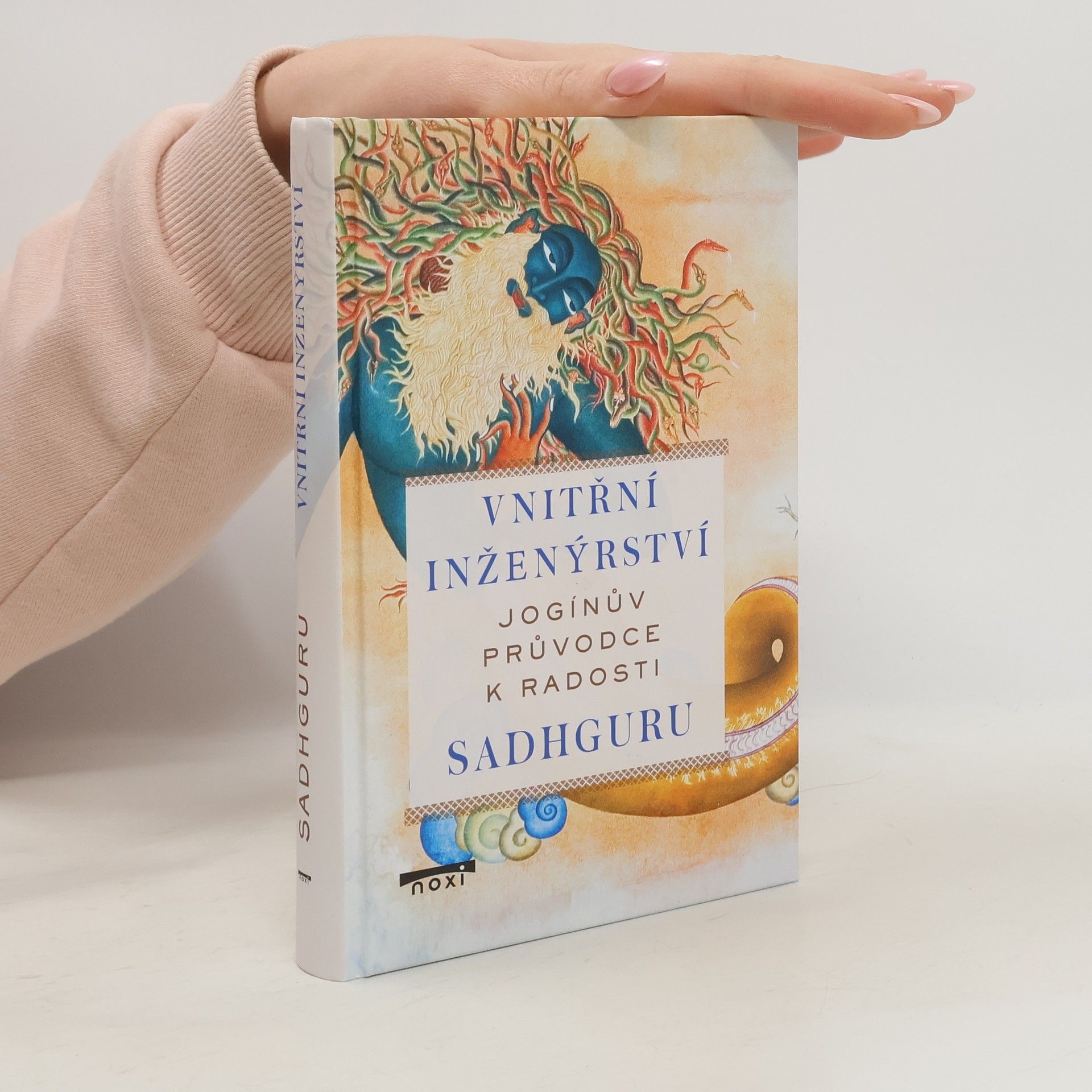 Vnitřní inženýrství - Jogínův průvodce k radosti