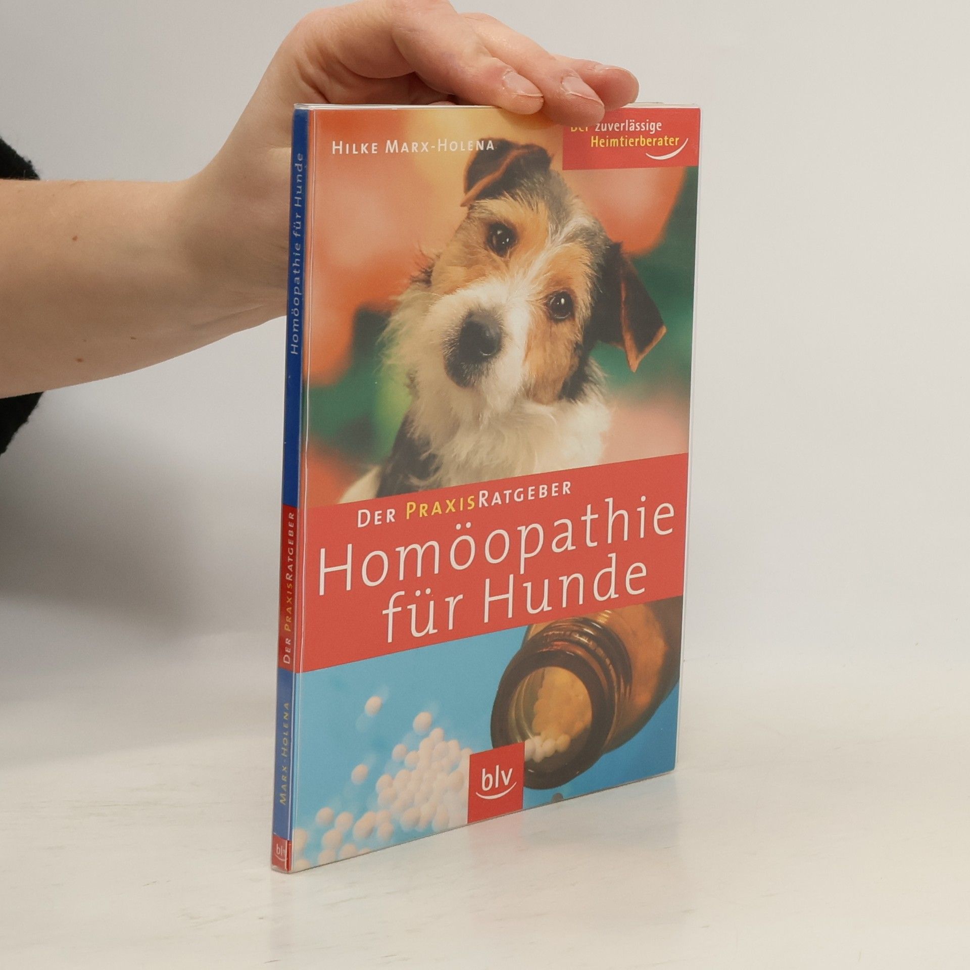 Homöopathie für Hunde