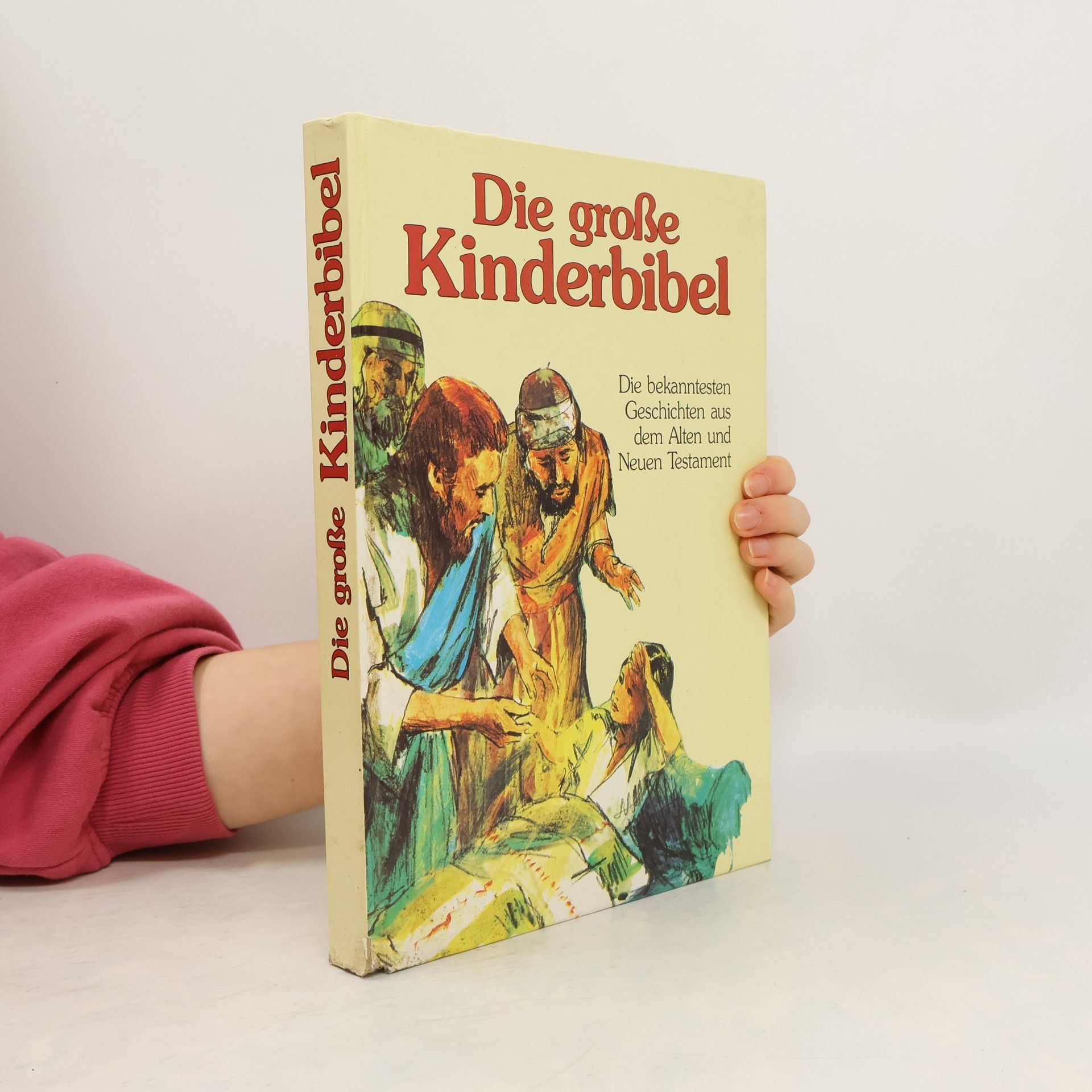 Collectif d'auteurs Die große Kinderbibel