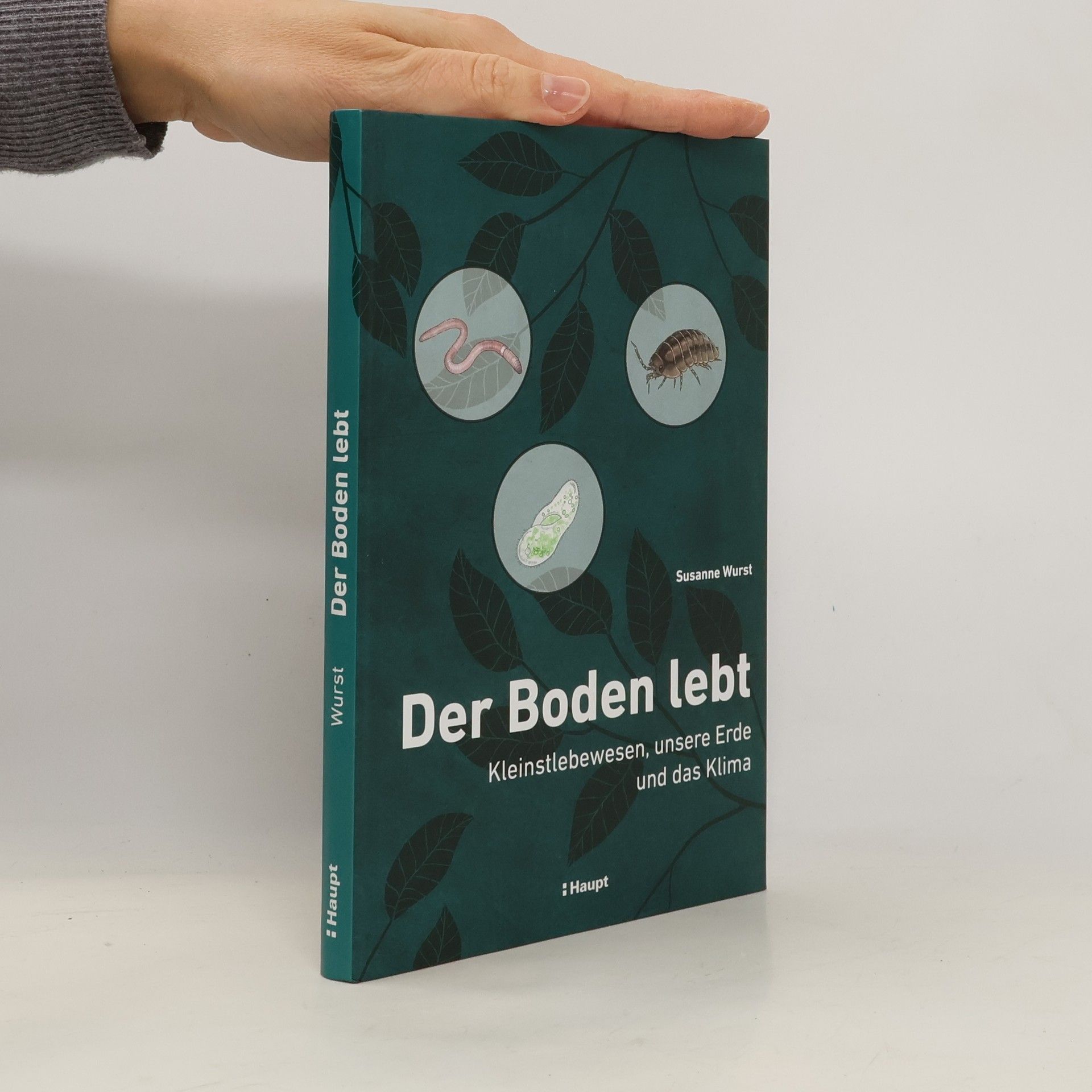 Susanne Wurst Der Boden lebt