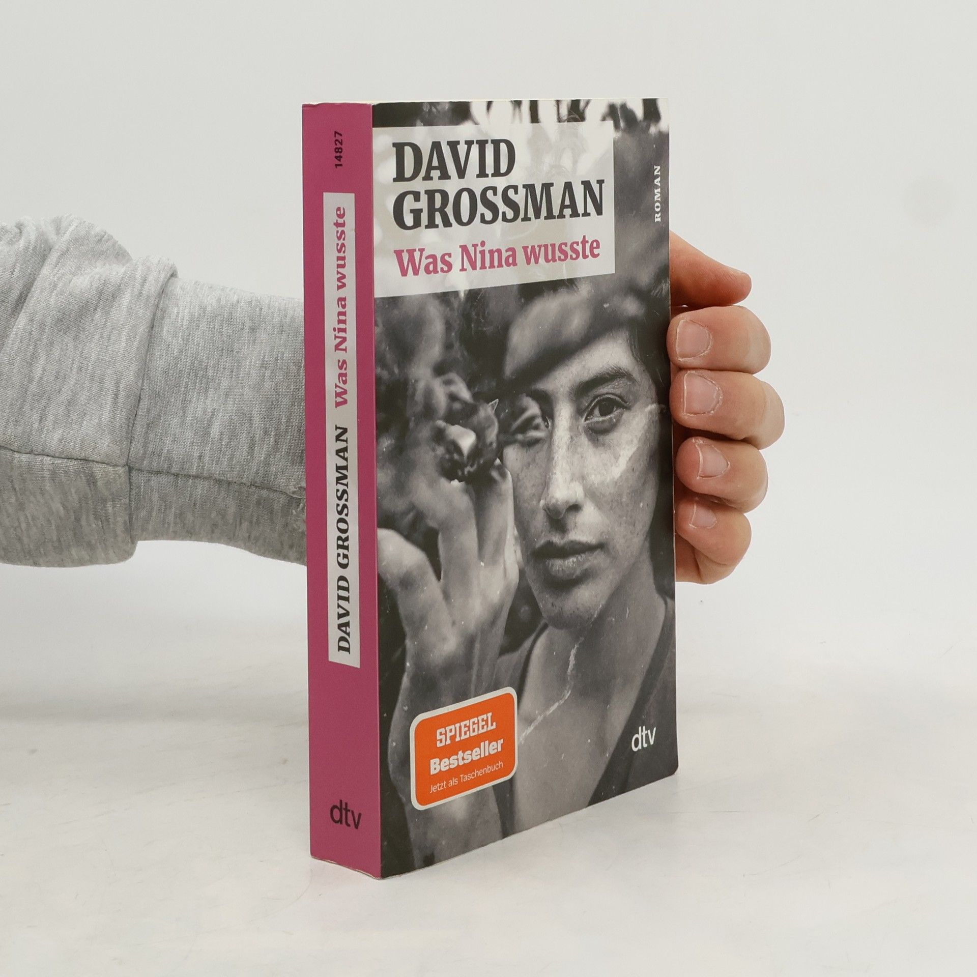 David Grossman Was Nina wusste