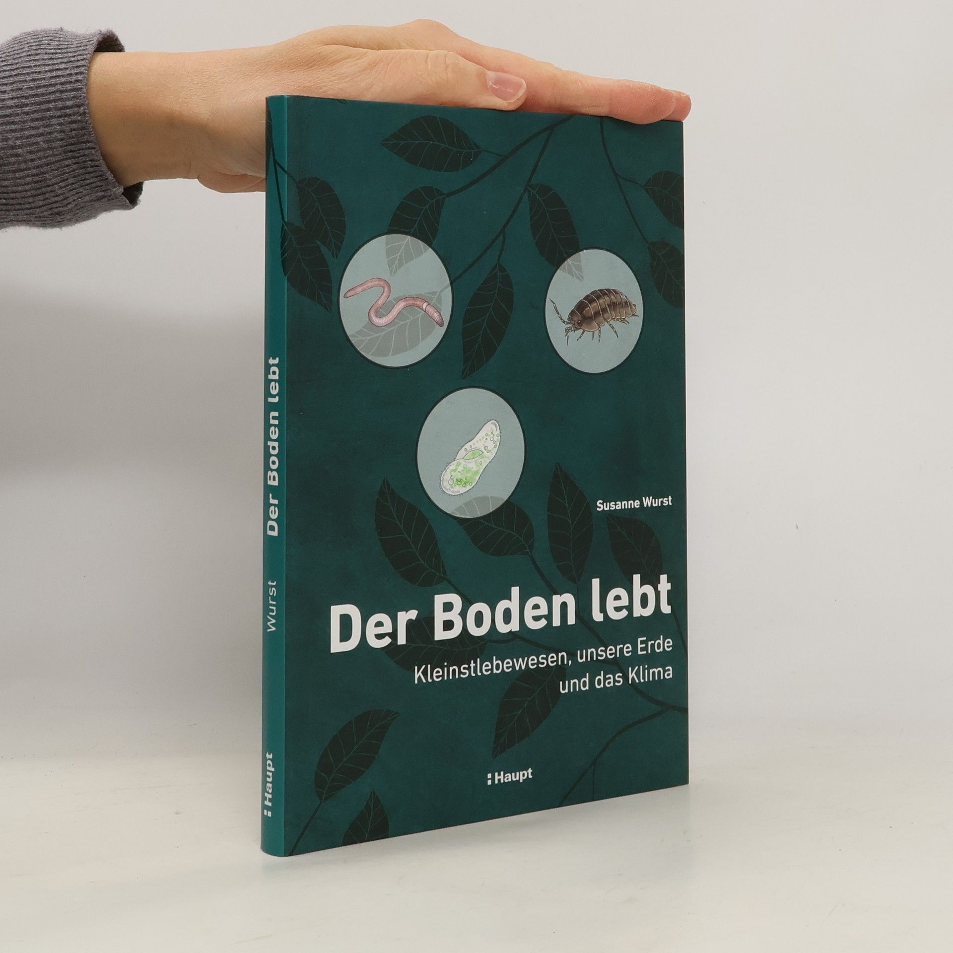 Susanne Wurst Der Boden lebt