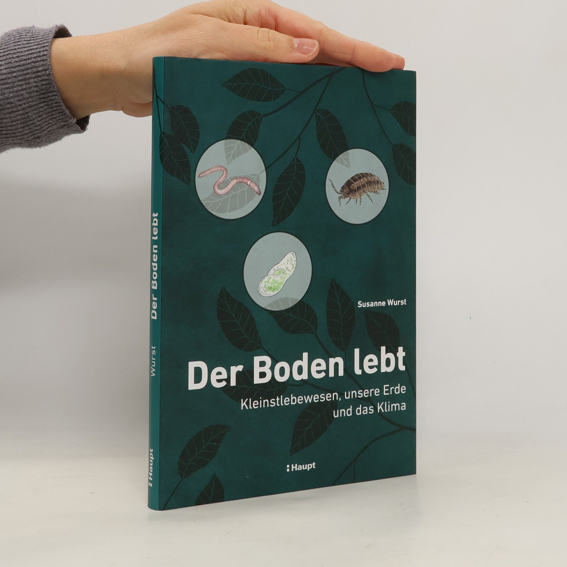 Susanne Wurst Der Boden lebt