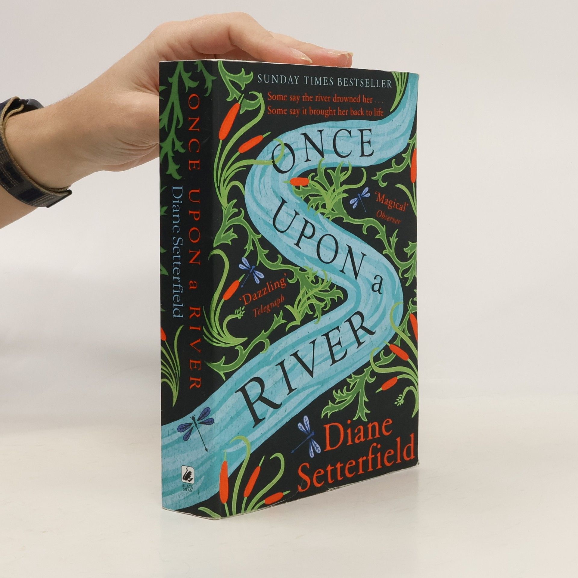 Diane Setterfield Once upon a River