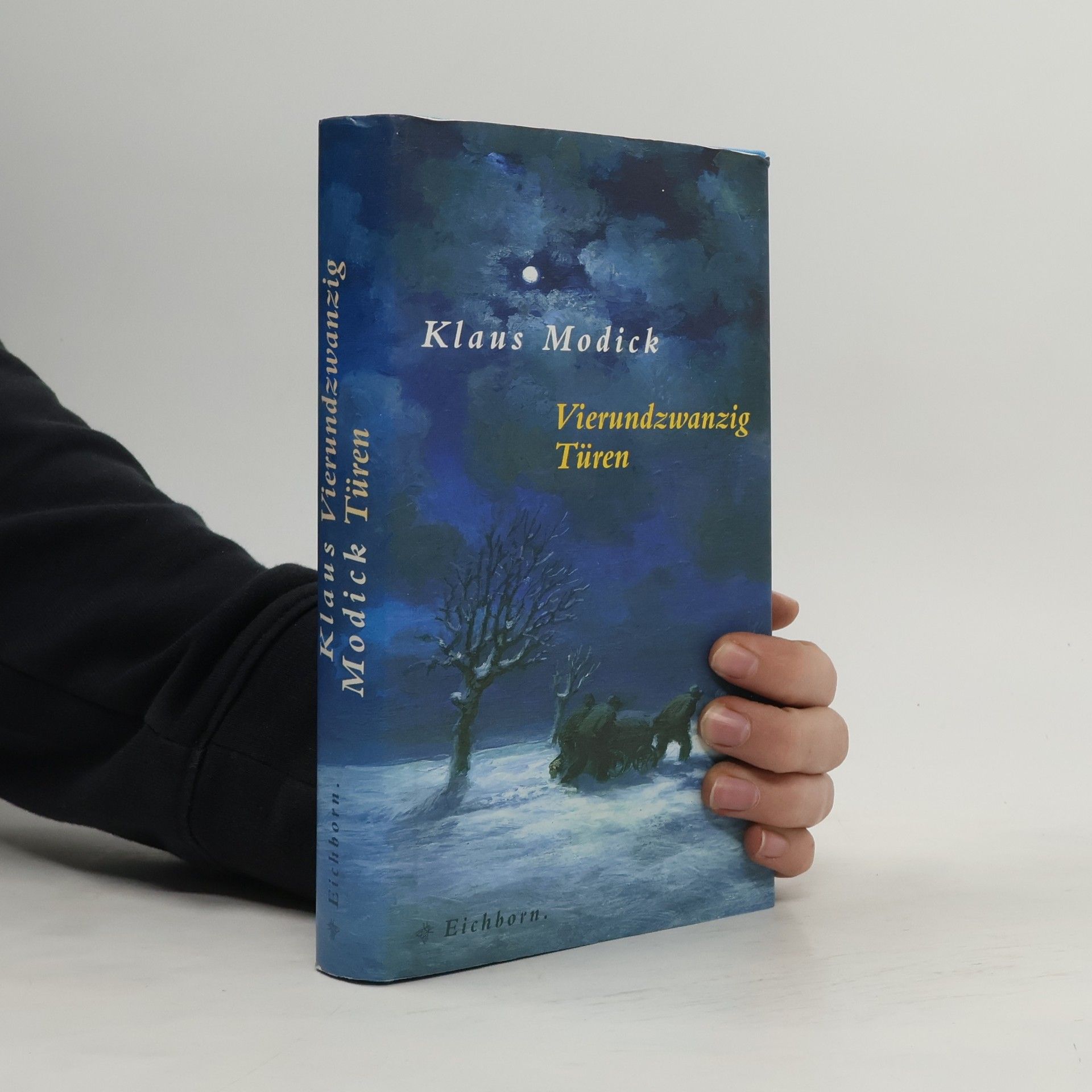 Klaus Modick Vierundzwanzig Türen