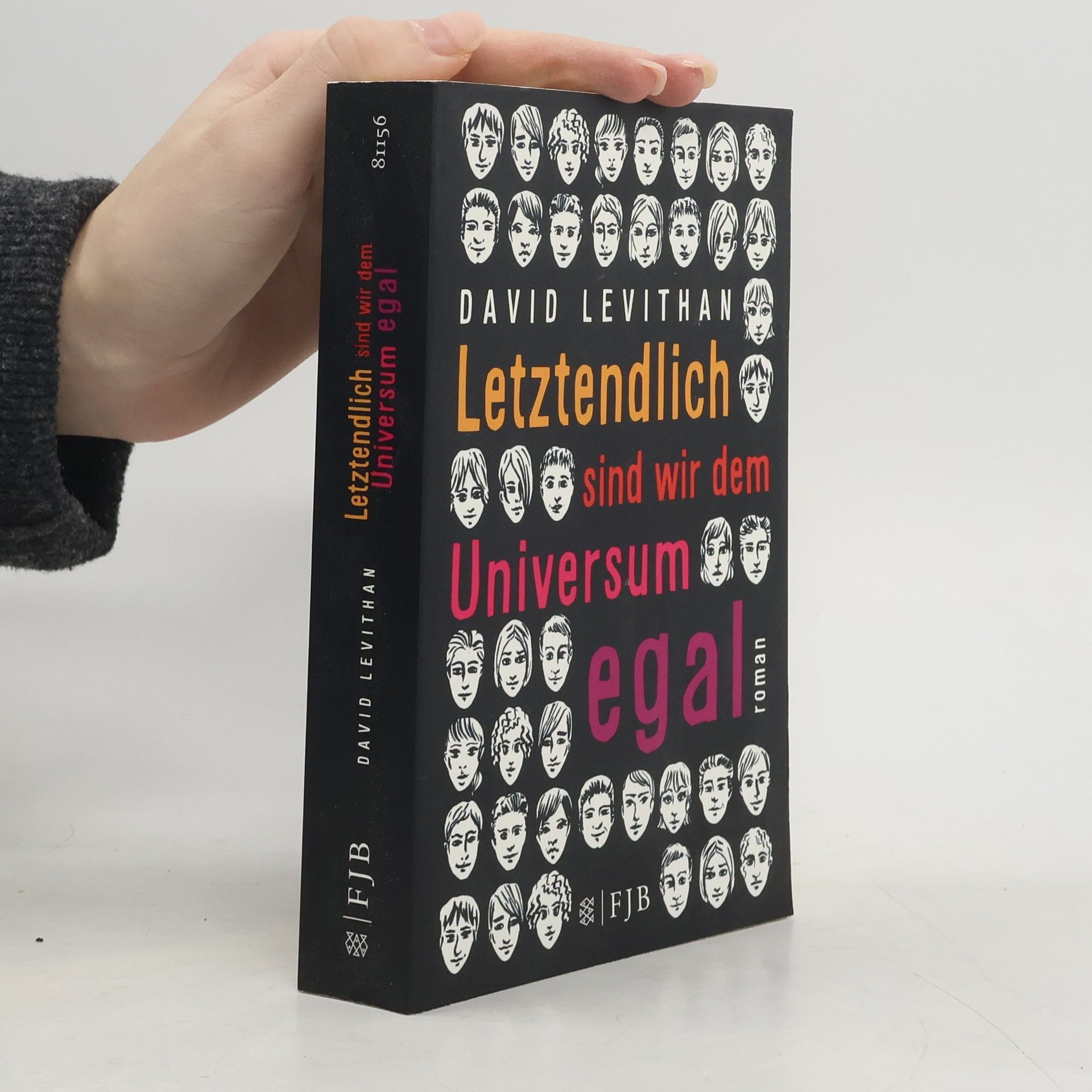 David Levithan Letztendlich sind wir dem Universum egal