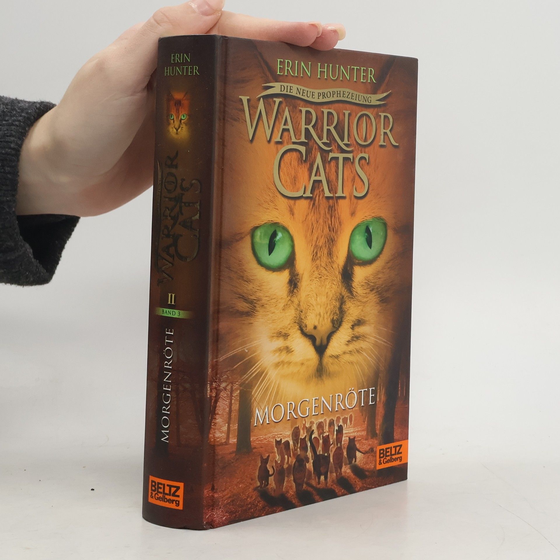 Erin Hunter Warrior Cats - Morgenröte