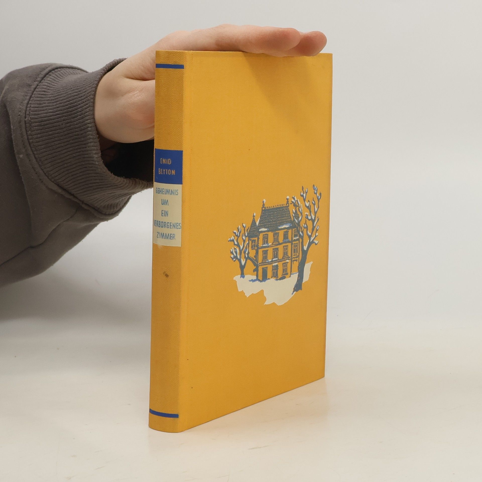 Enid Blyton Gehemis um ein Verborgenes Zimmer