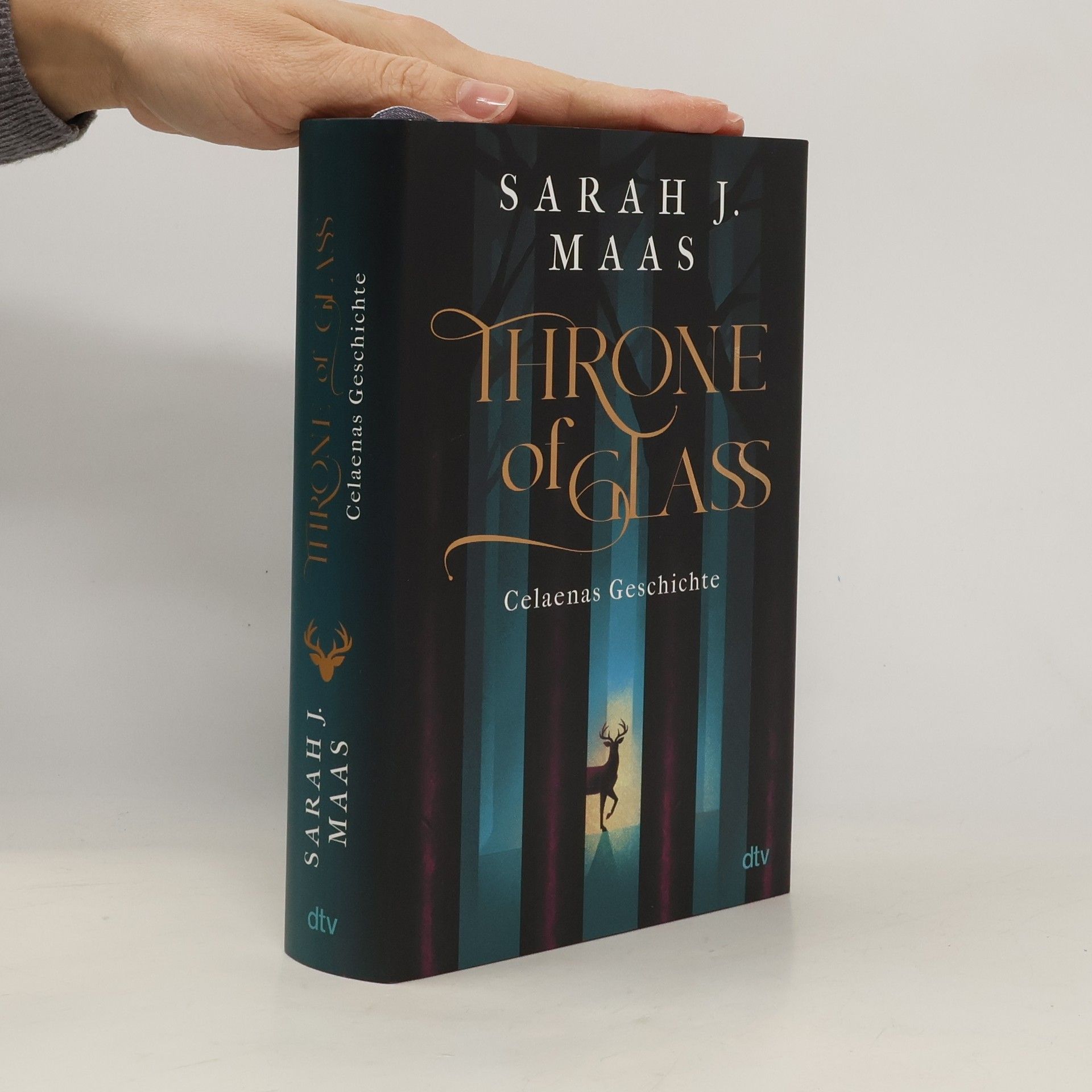 Throne of Glass – Celaenas Geschichte