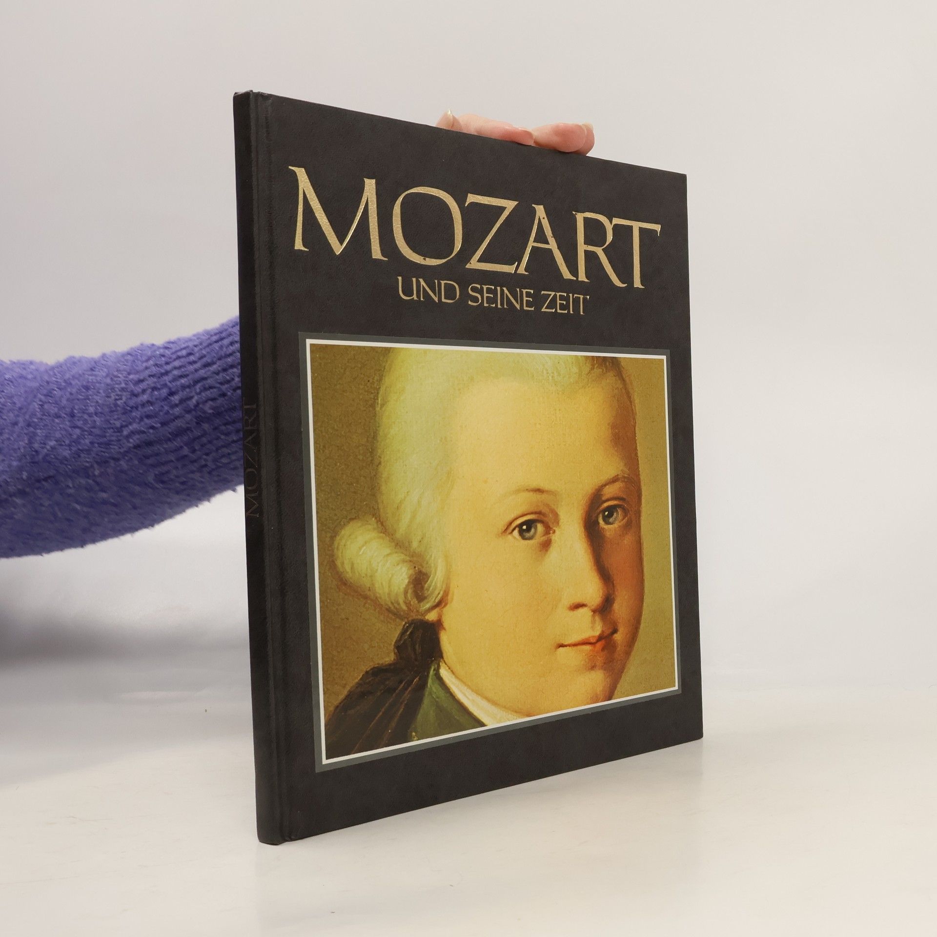 Kolektív autorov Mozart und seine Zeit
