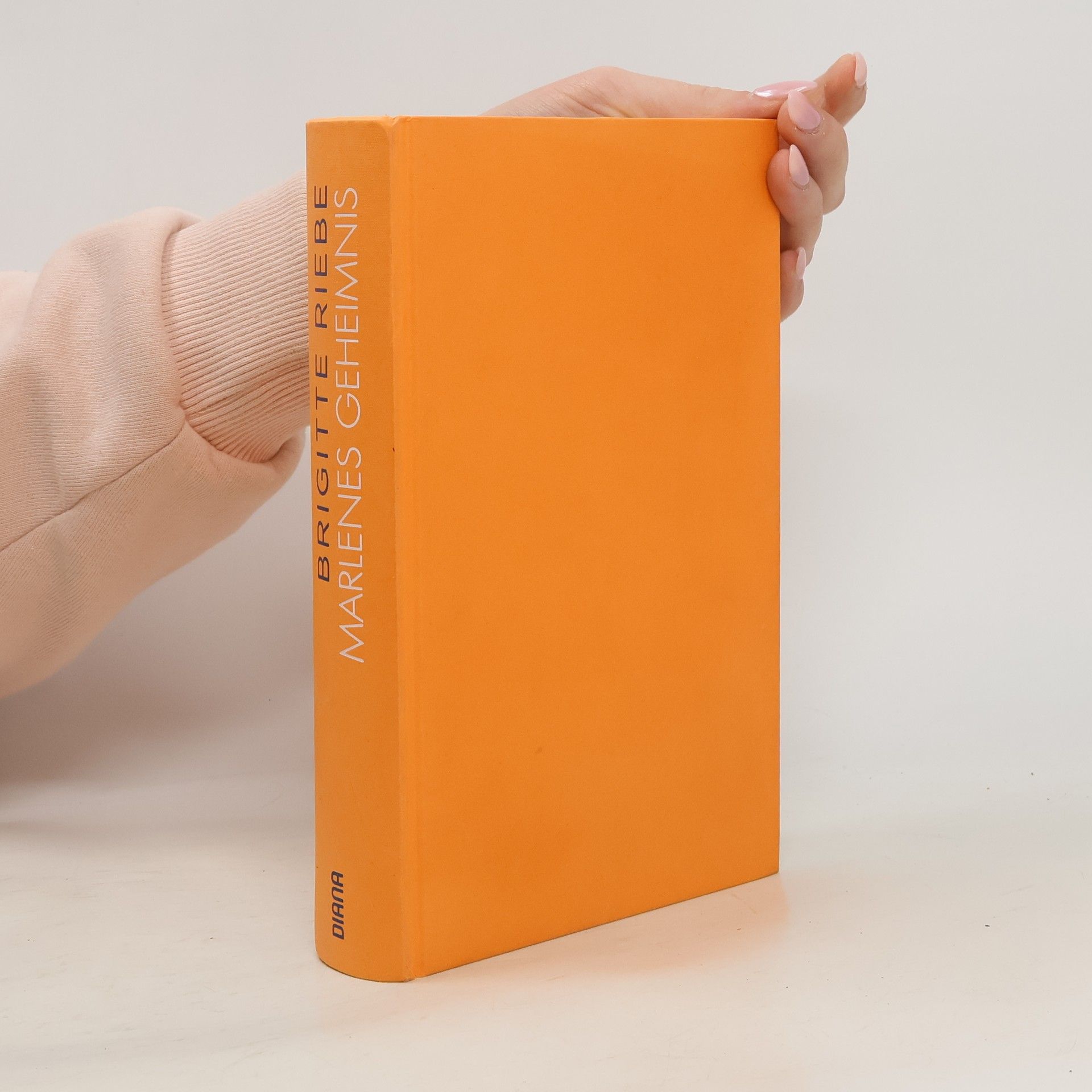 Brigitte Riebeová Marlenes Geheimnis