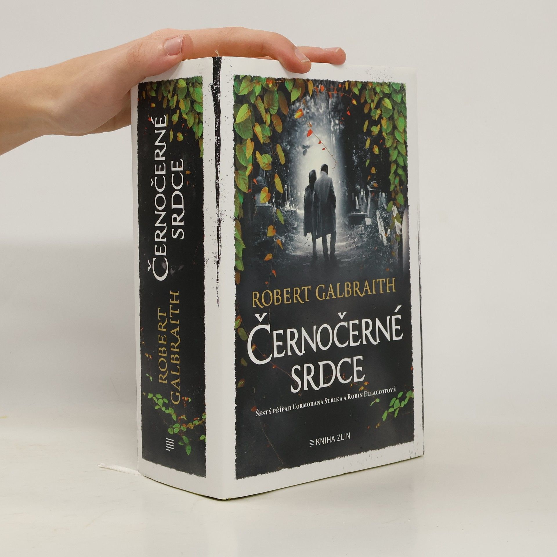 Robert Galbraith Černočerné srdce