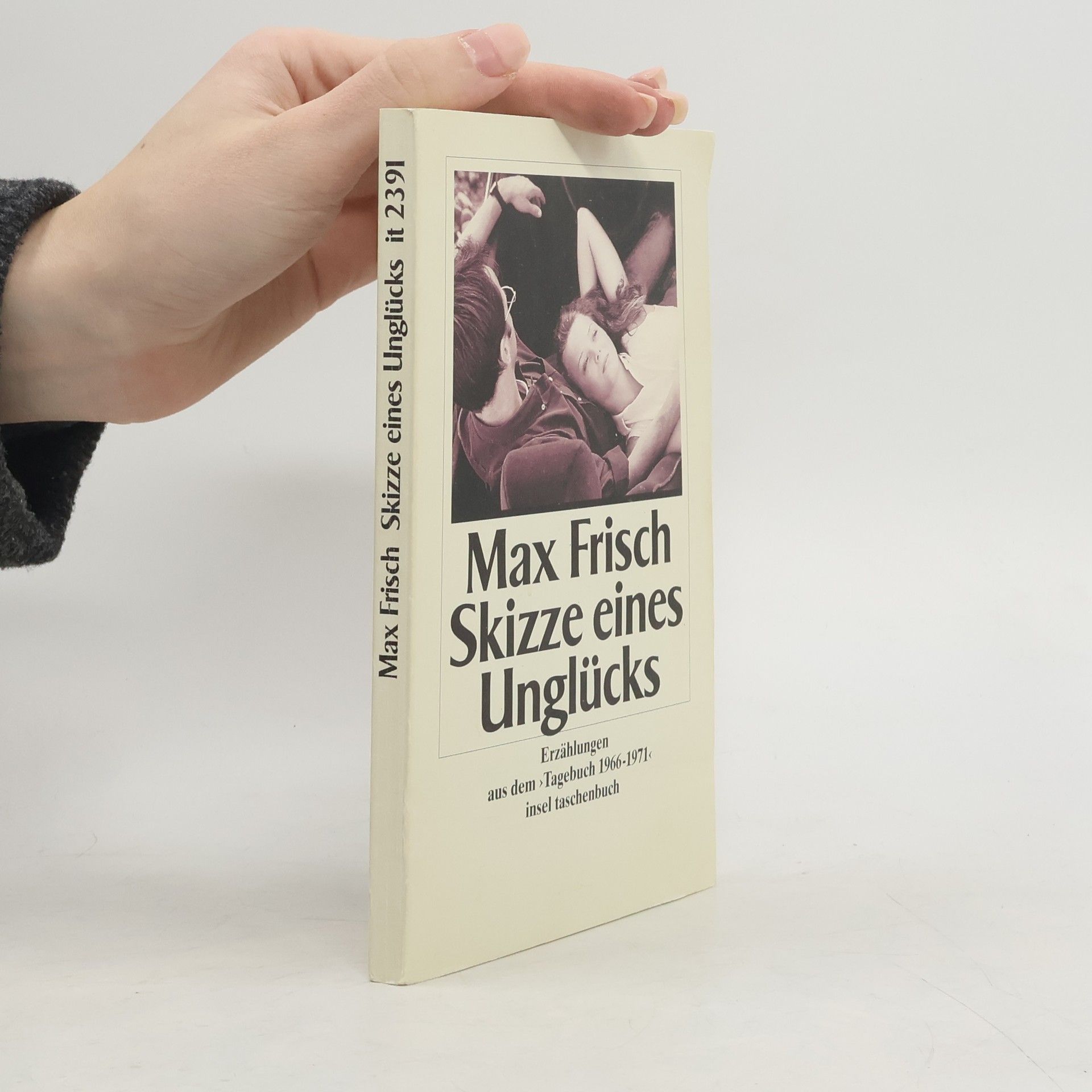 Max Frisch Insel Taschenbuch - 2391: Skizze eines Unglücks