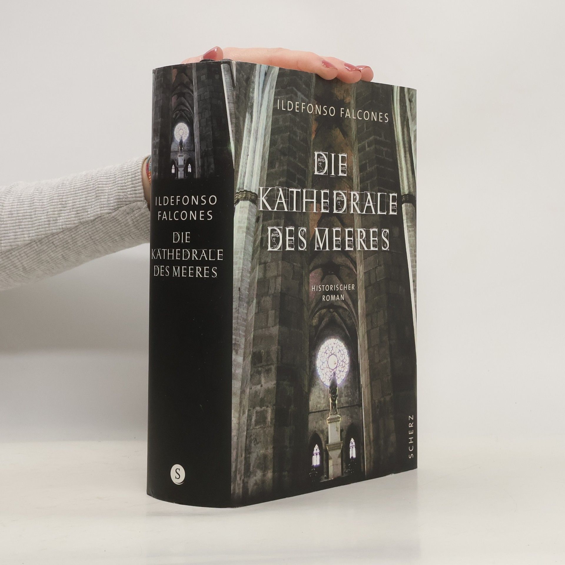 Ildefonso Falcones Die Kathedrale des Meeres