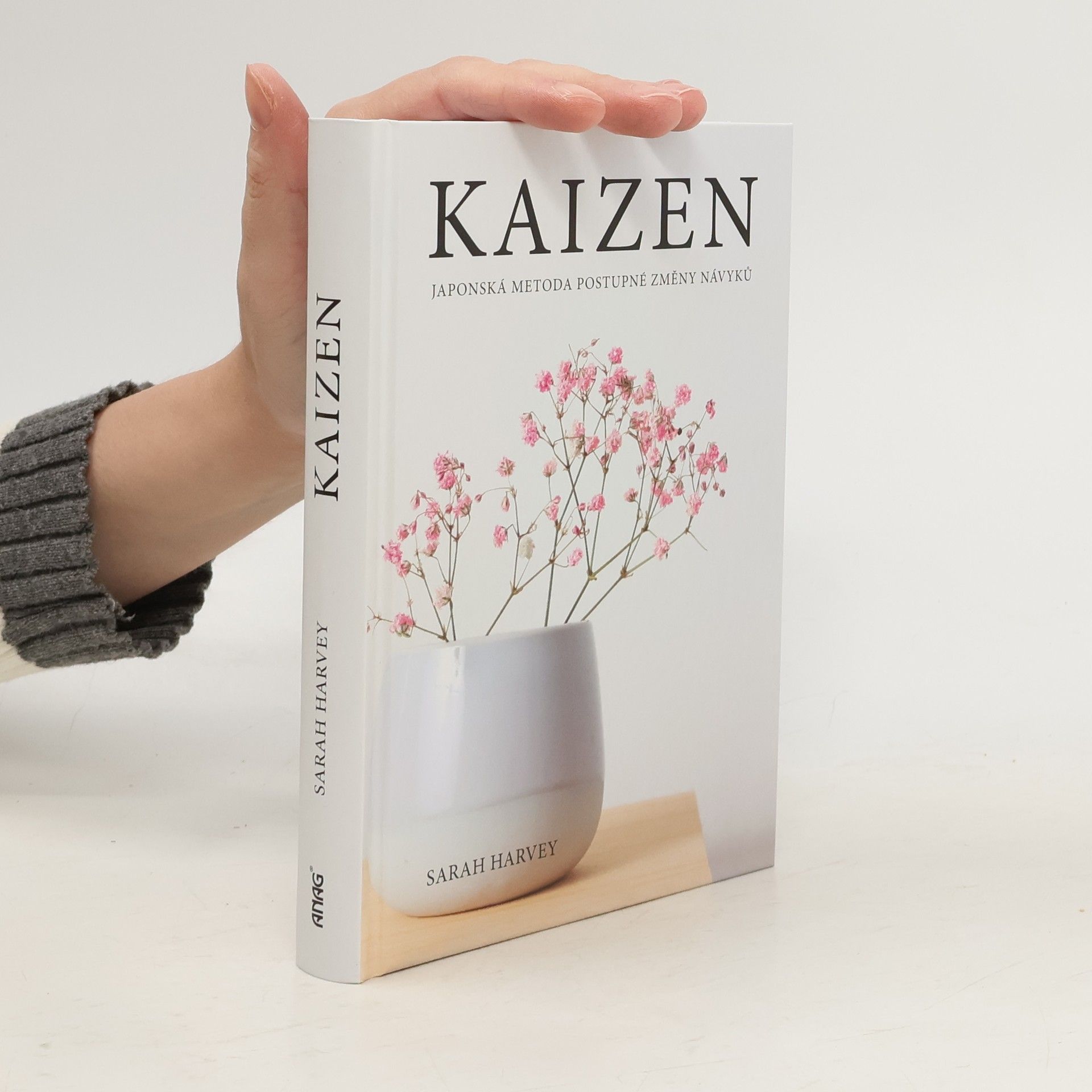 Kaizen: Japonská metoda postupné změny návyků