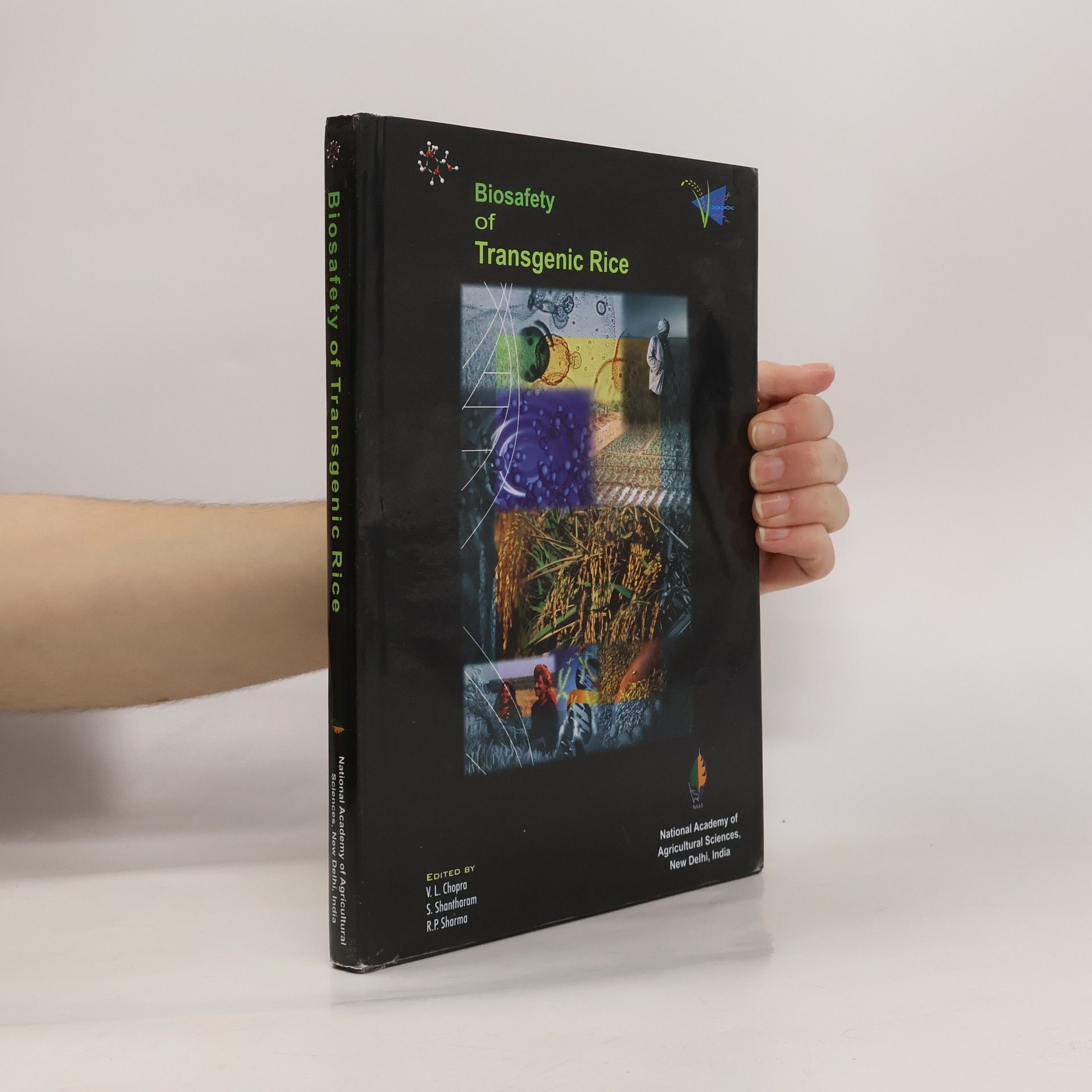 Collectif d'auteurs Biosafety of Transgenic Rice