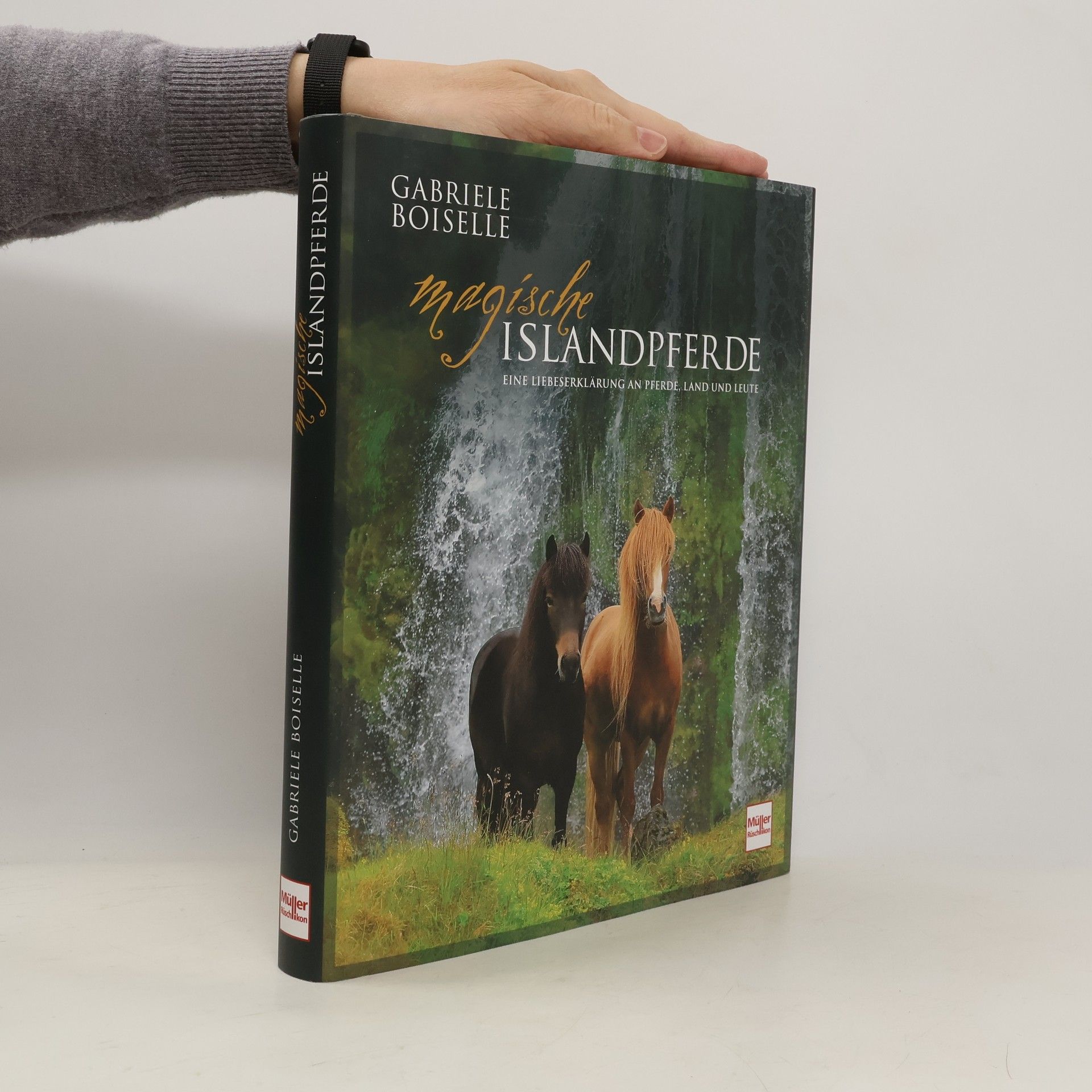 Magische Islandpferde