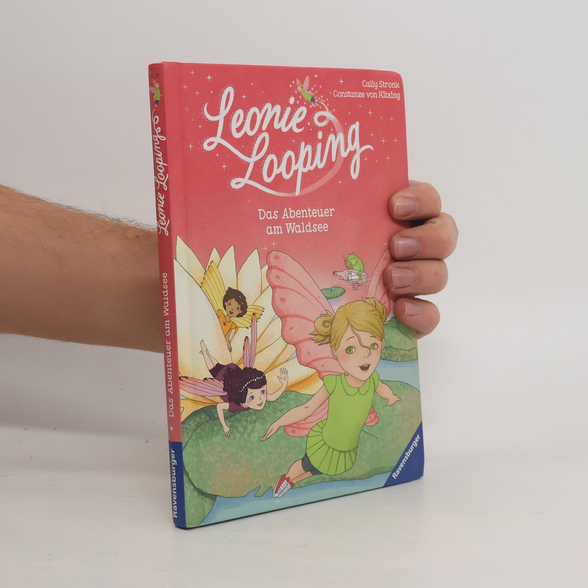 Cally Stronk Das Abenteuer am Waldsee