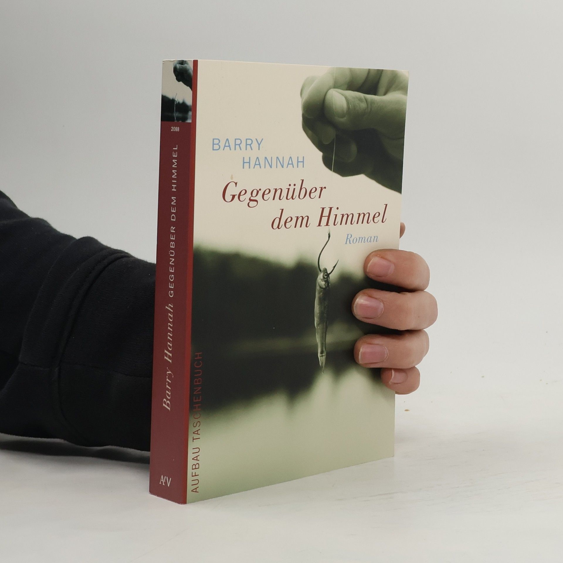 Barry Hannah Gegenüber dem Himmel