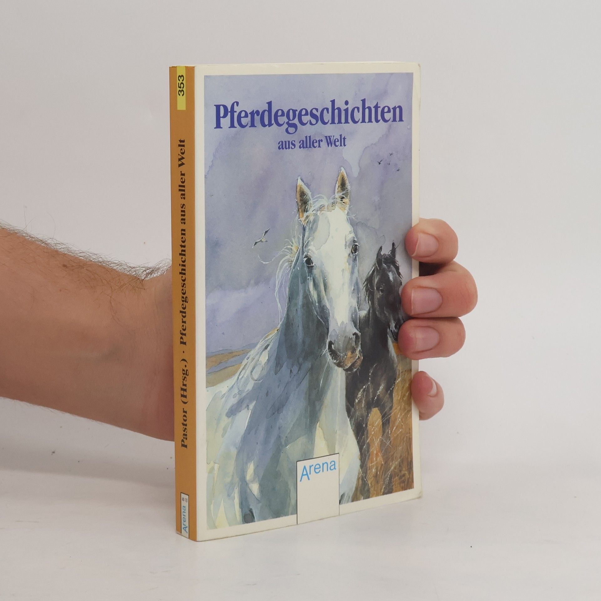 AA.VV. Pferdegeschichten aus aller Welt