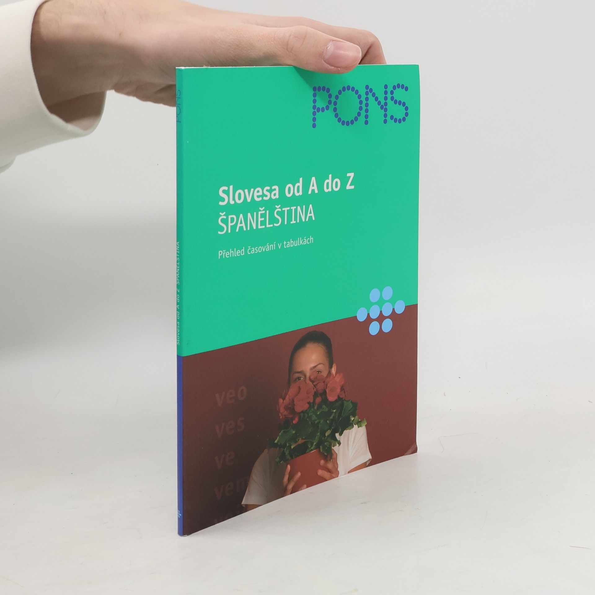 Carlos Segoviano Slovesa od A do Z. Španělština