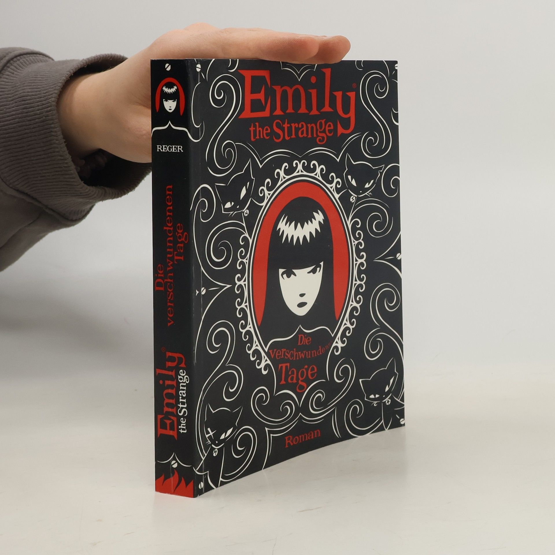 Robert Reger Die verschwundenen Tage