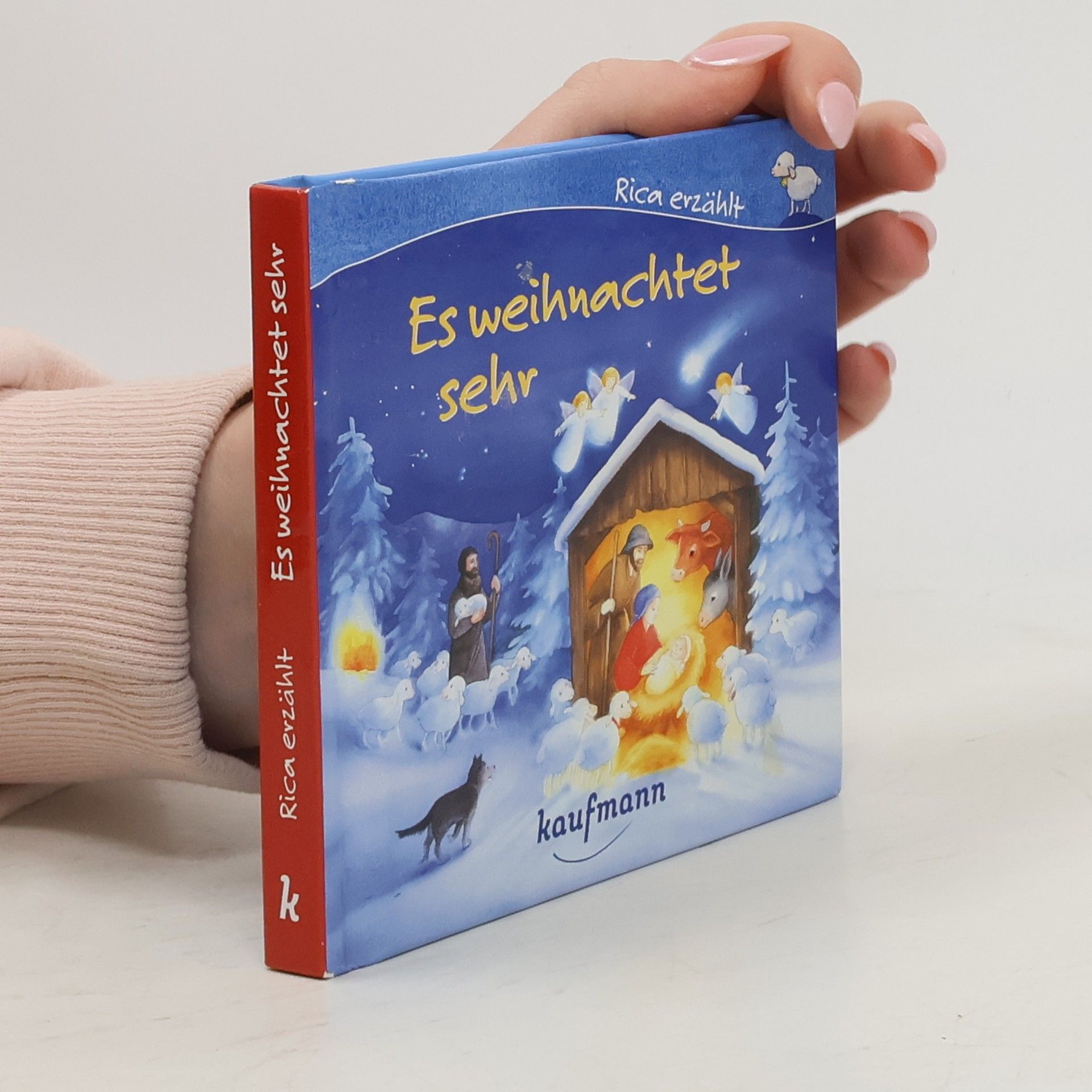 Sebastian Tonner Rica erzählt