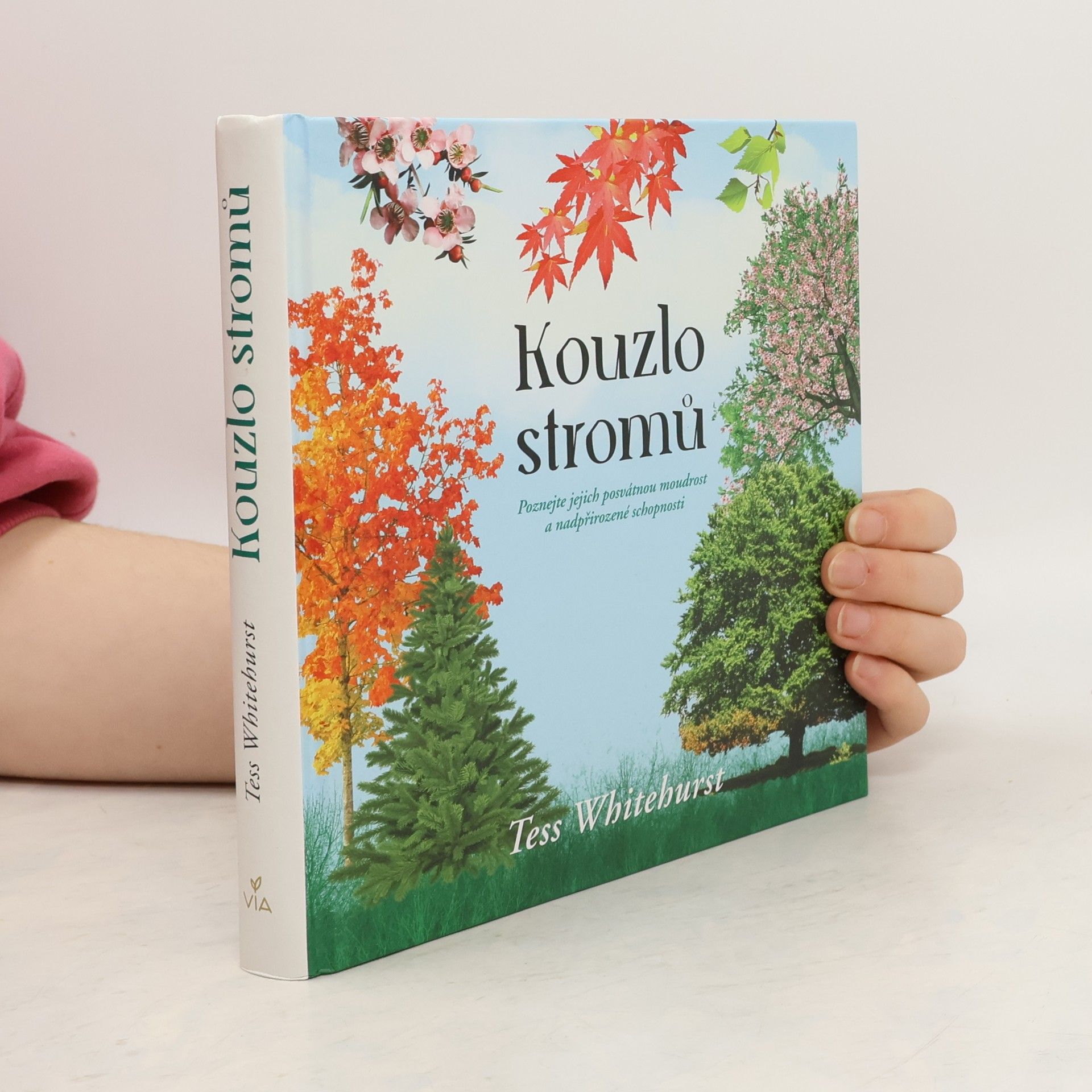 Kouzlo stromů : poznejte jejich posvátnou moudrost a nadpřirozené schopnosti