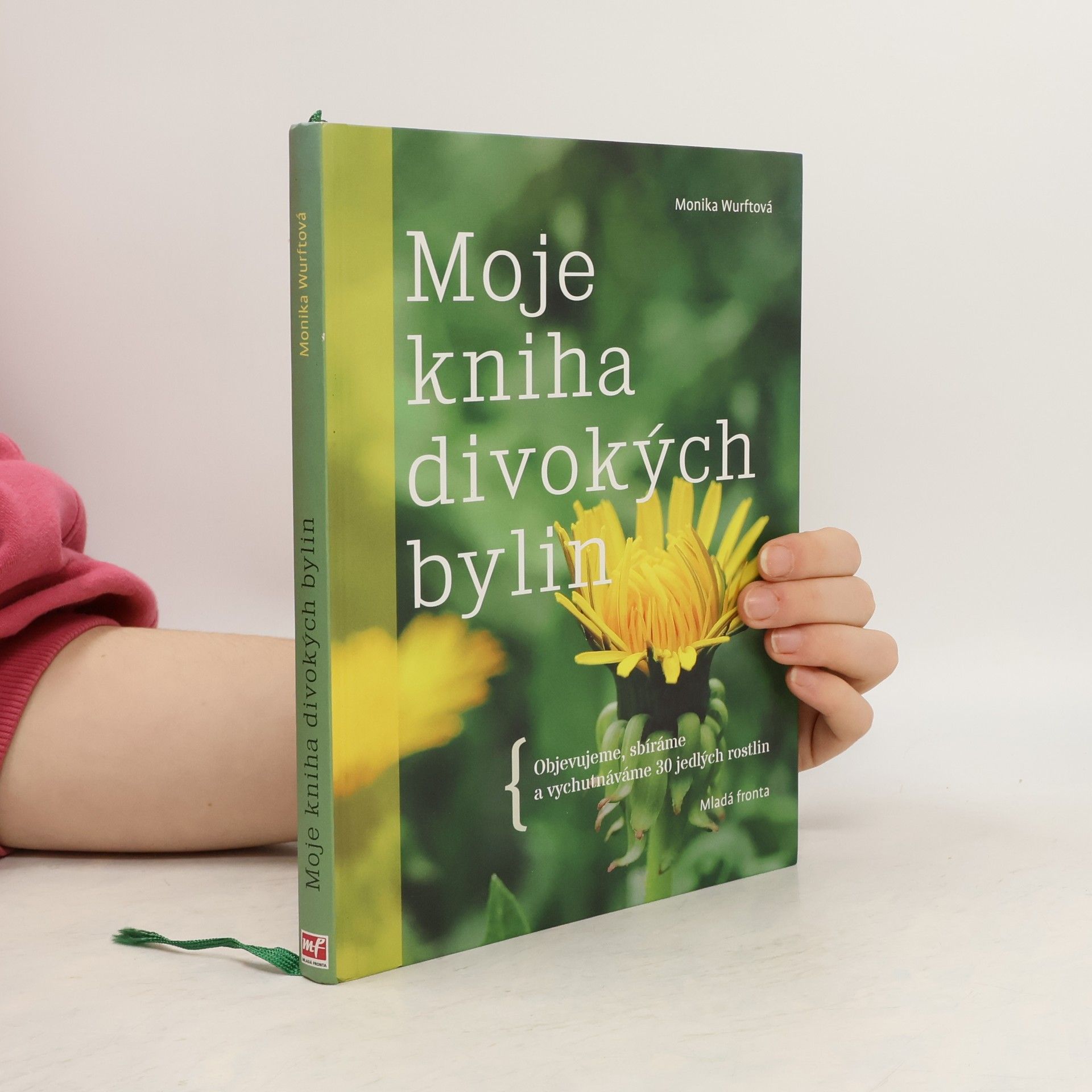 Moje kniha divokých bylin: Objevujeme, sbíráme a vychutnáváme 30 jedlých rostlin