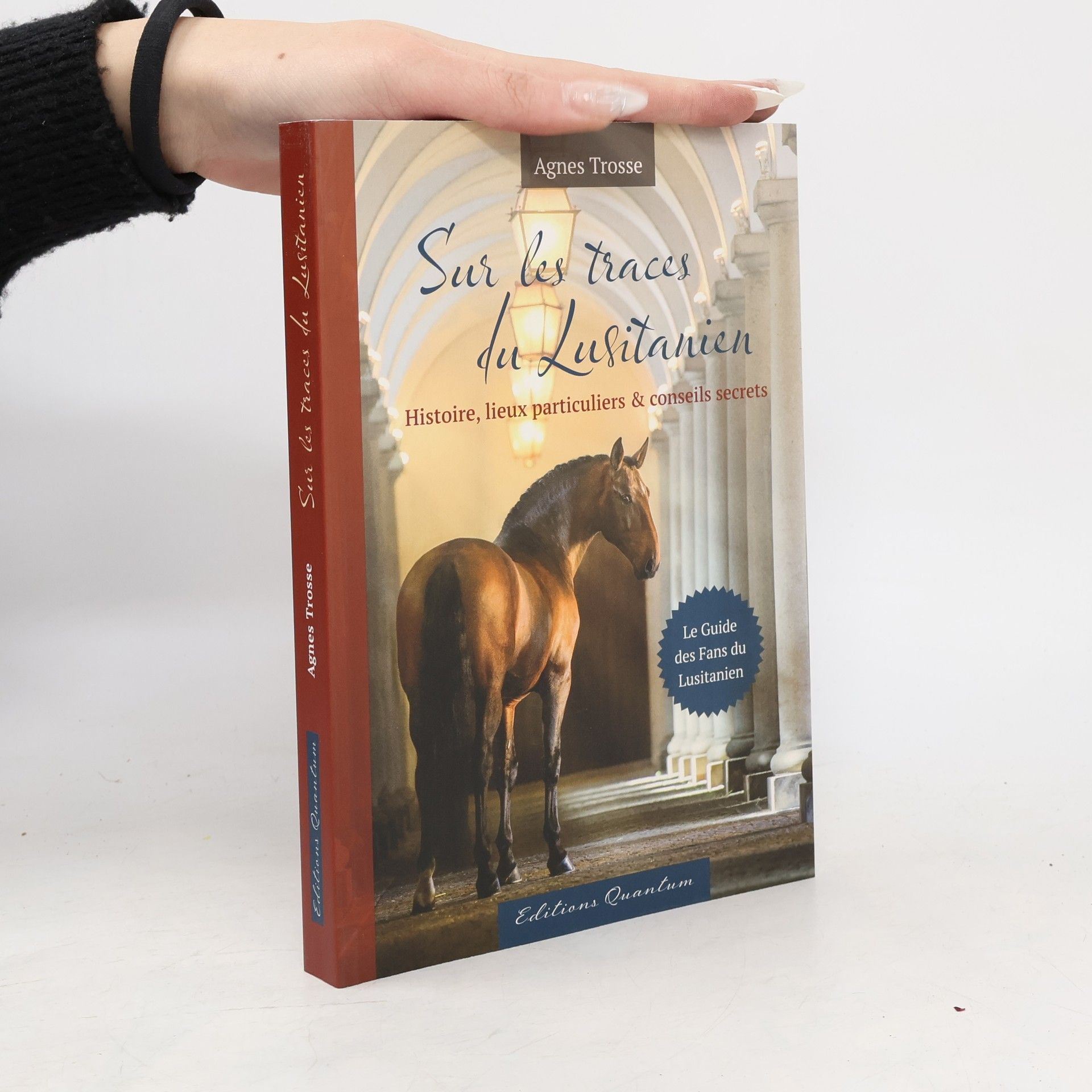 Sur les traces du Lusitanien