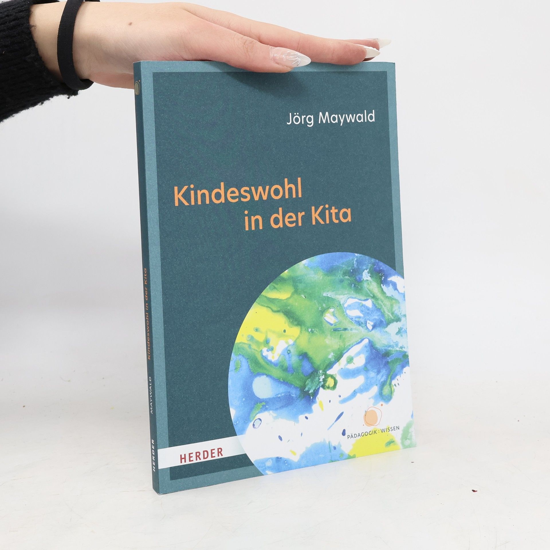 Jörg Maywald Kindeswohl in der Kita