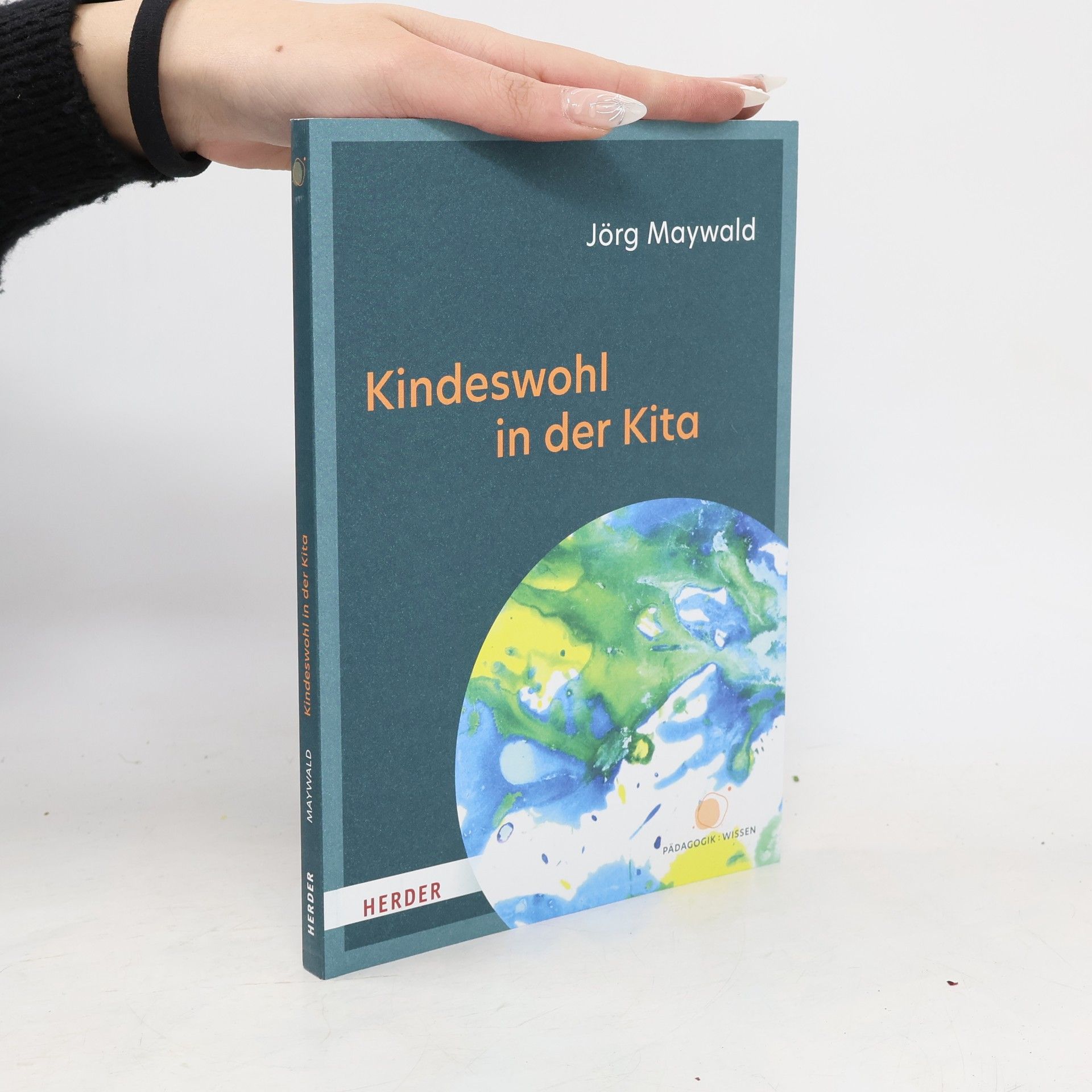 Jörg Maywald Kindeswohl in der Kita