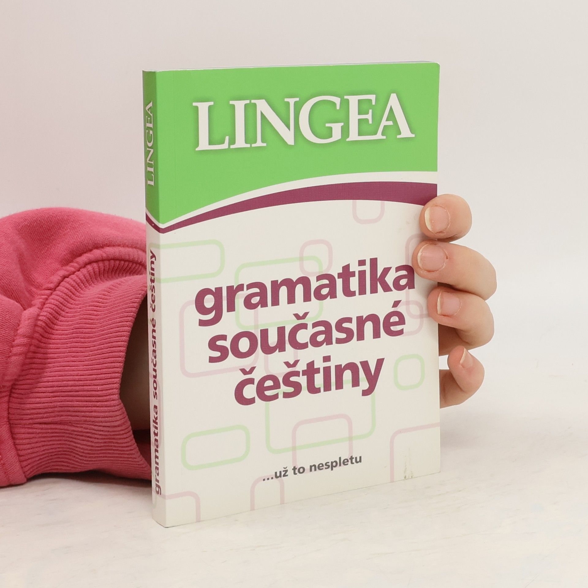 Kolektiv autorů Gramatika současné češtiny