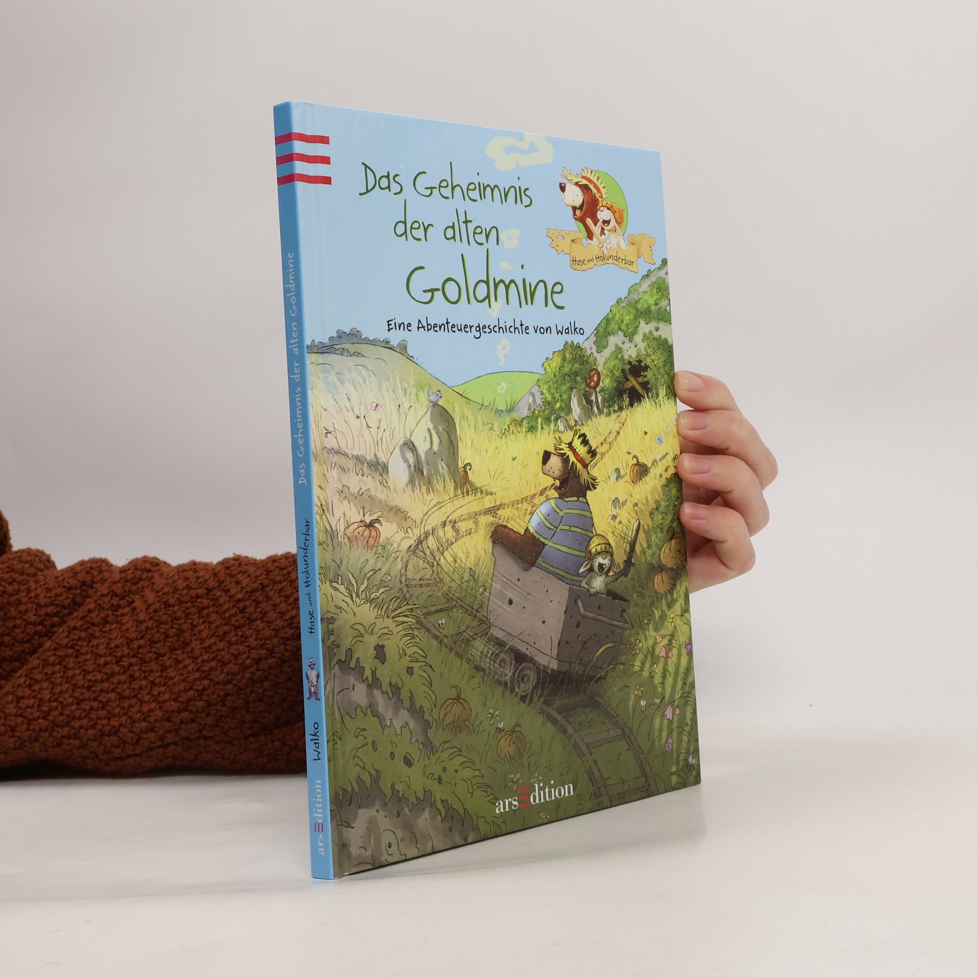 Das Geheimnis der alten Goldmine