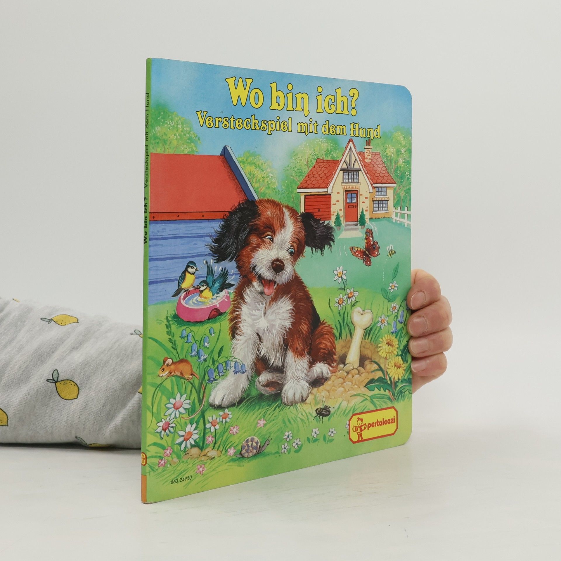 Autorenkollektiv Wo bin ich?