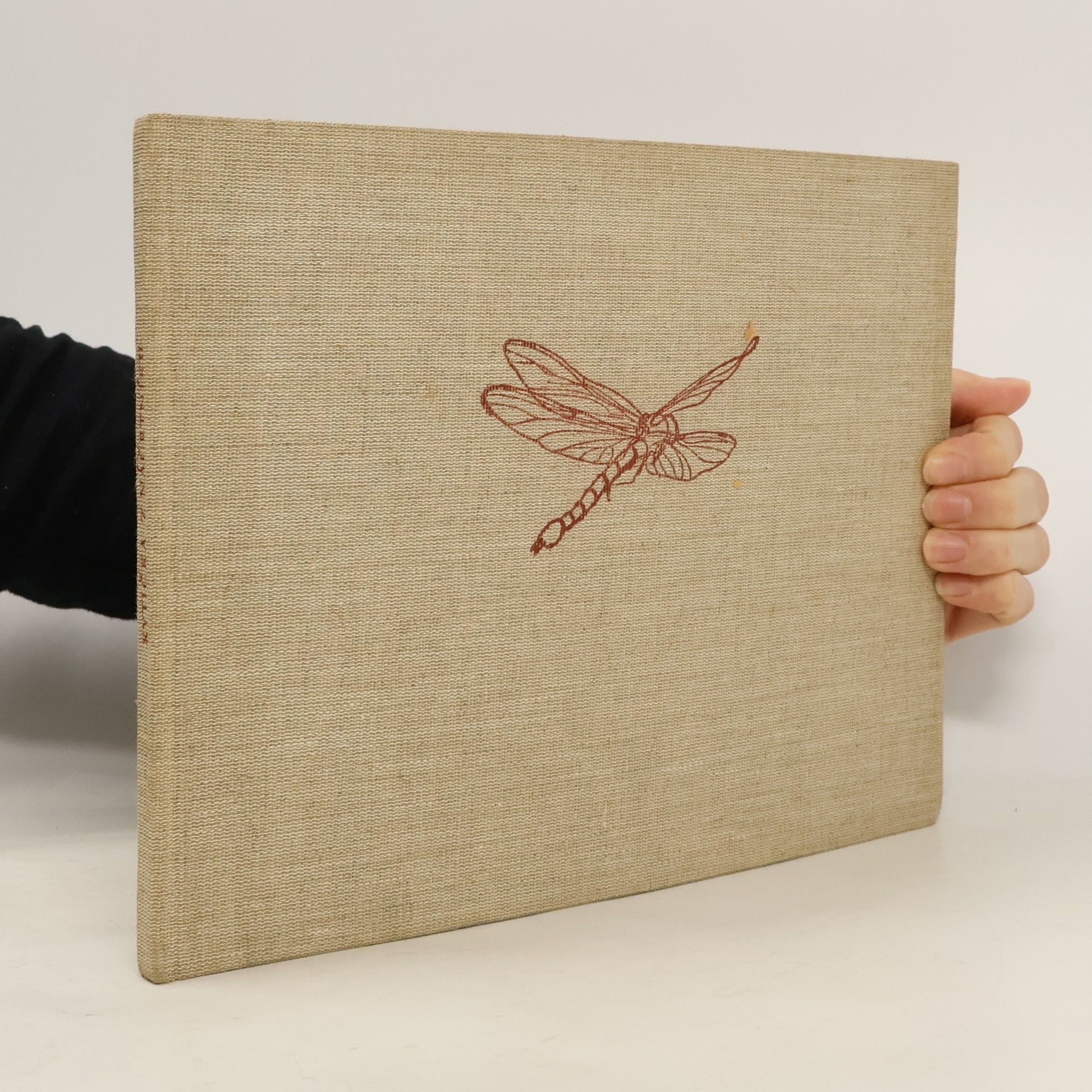 František Hrubín Kytička z náčrtníku