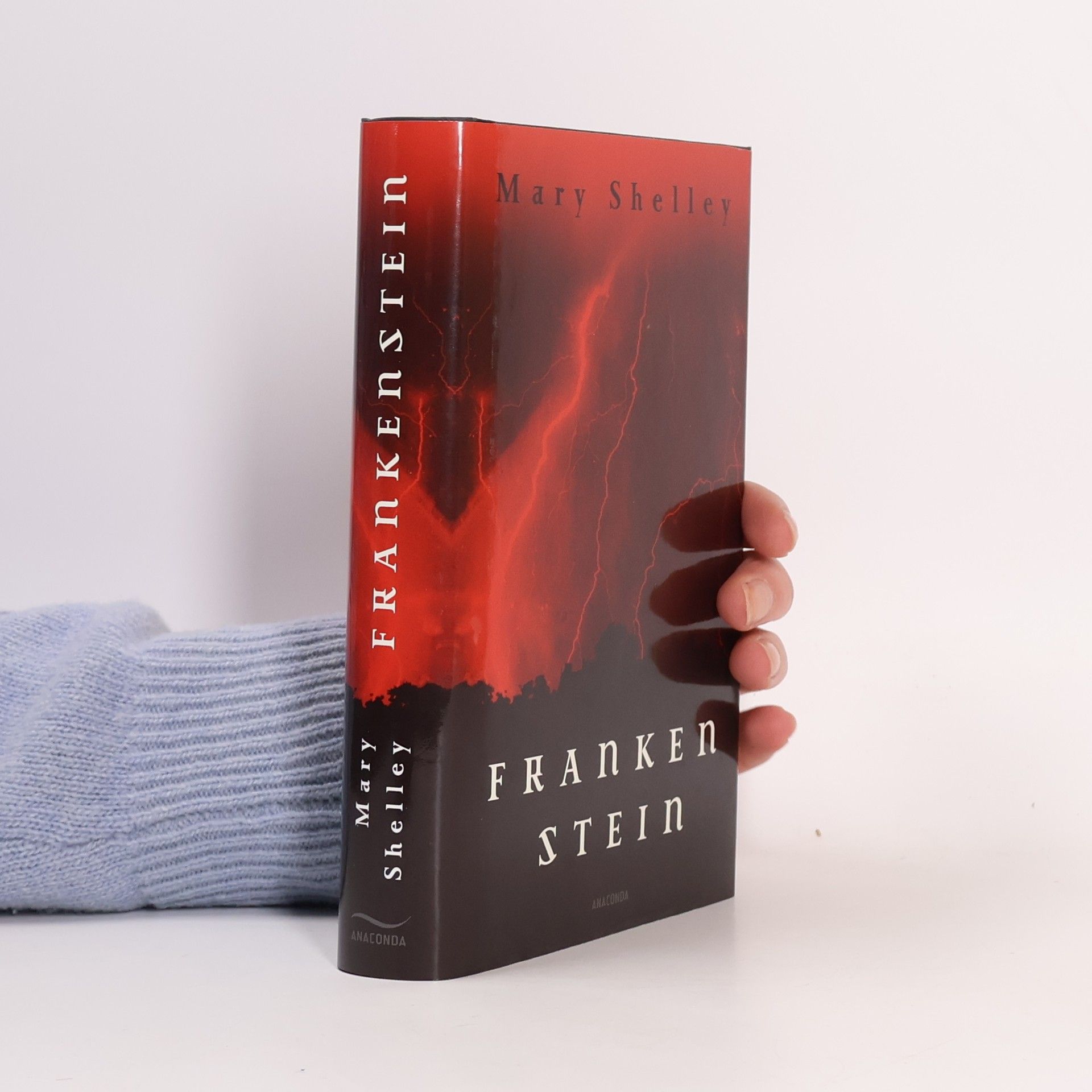 Mary Shelley Frankenstein oder Der neue Prometheus