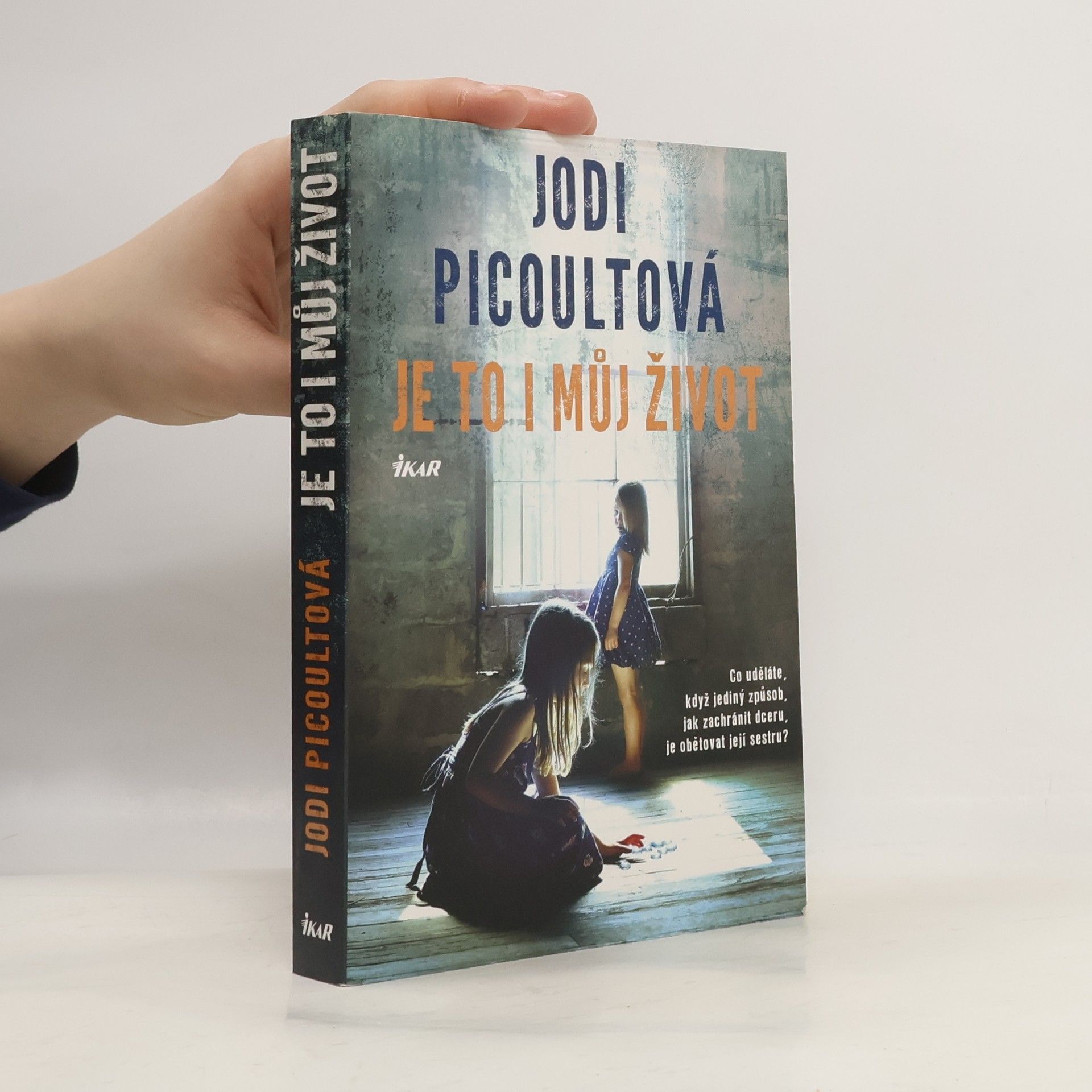 Jodi Picoult Je to i můj život