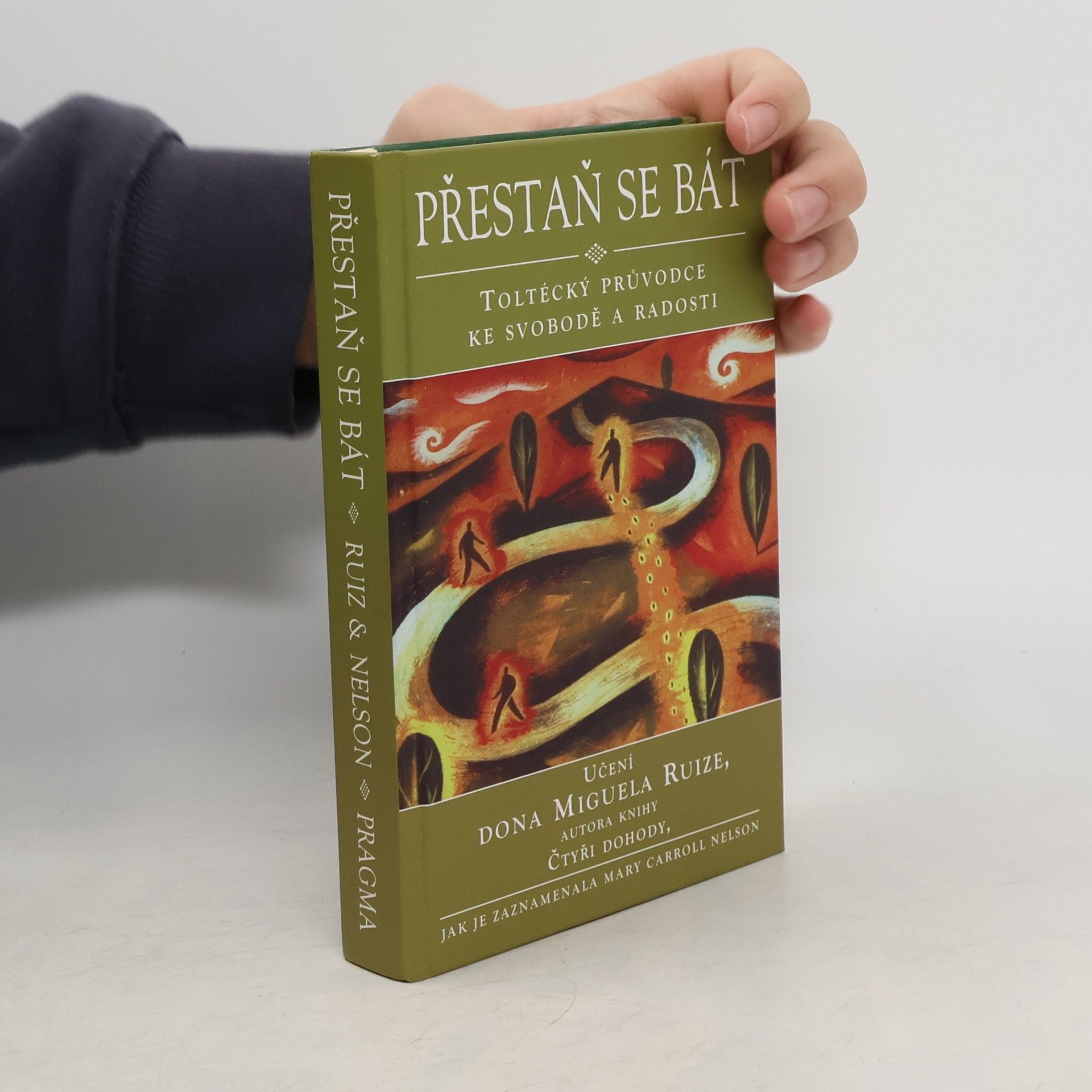 Mary Carroll Nelson Přestaň se bát