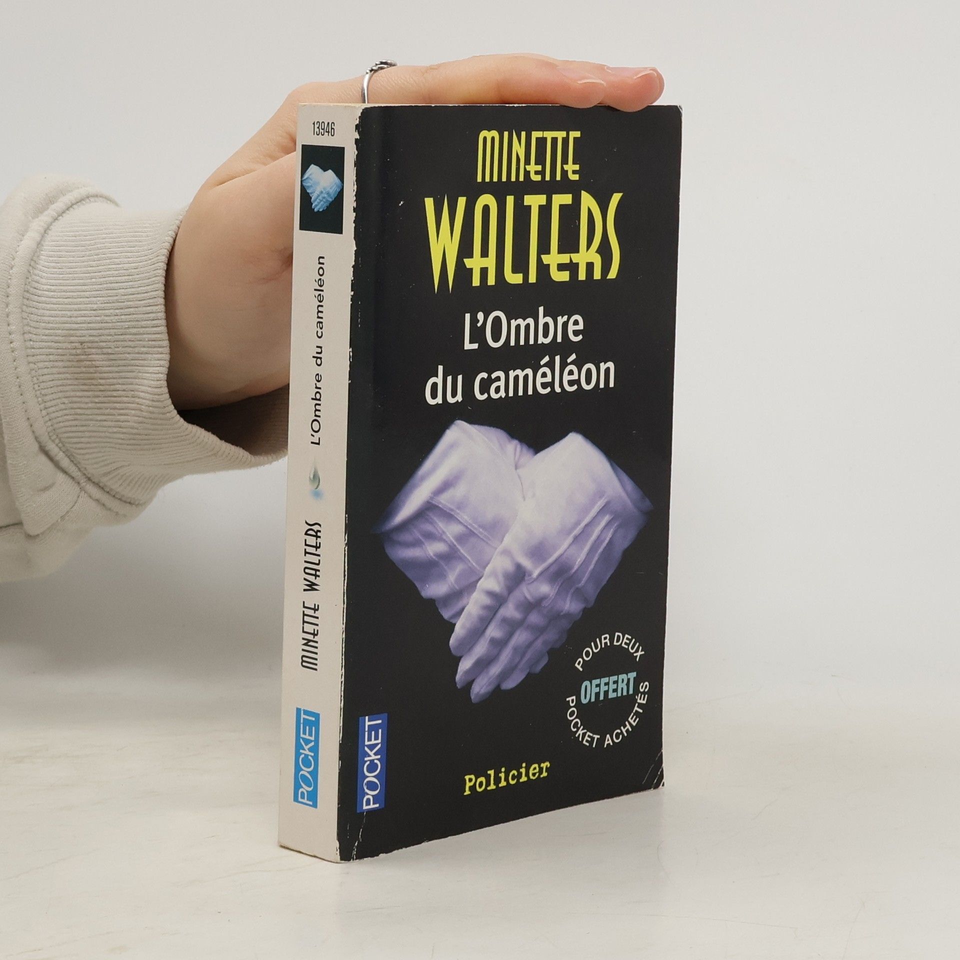 L'ombre du caméléon