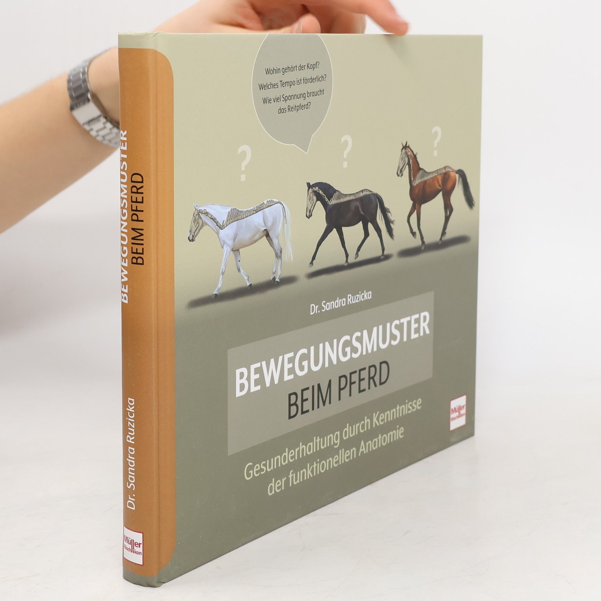 Bewegungsmuster beim Pferd