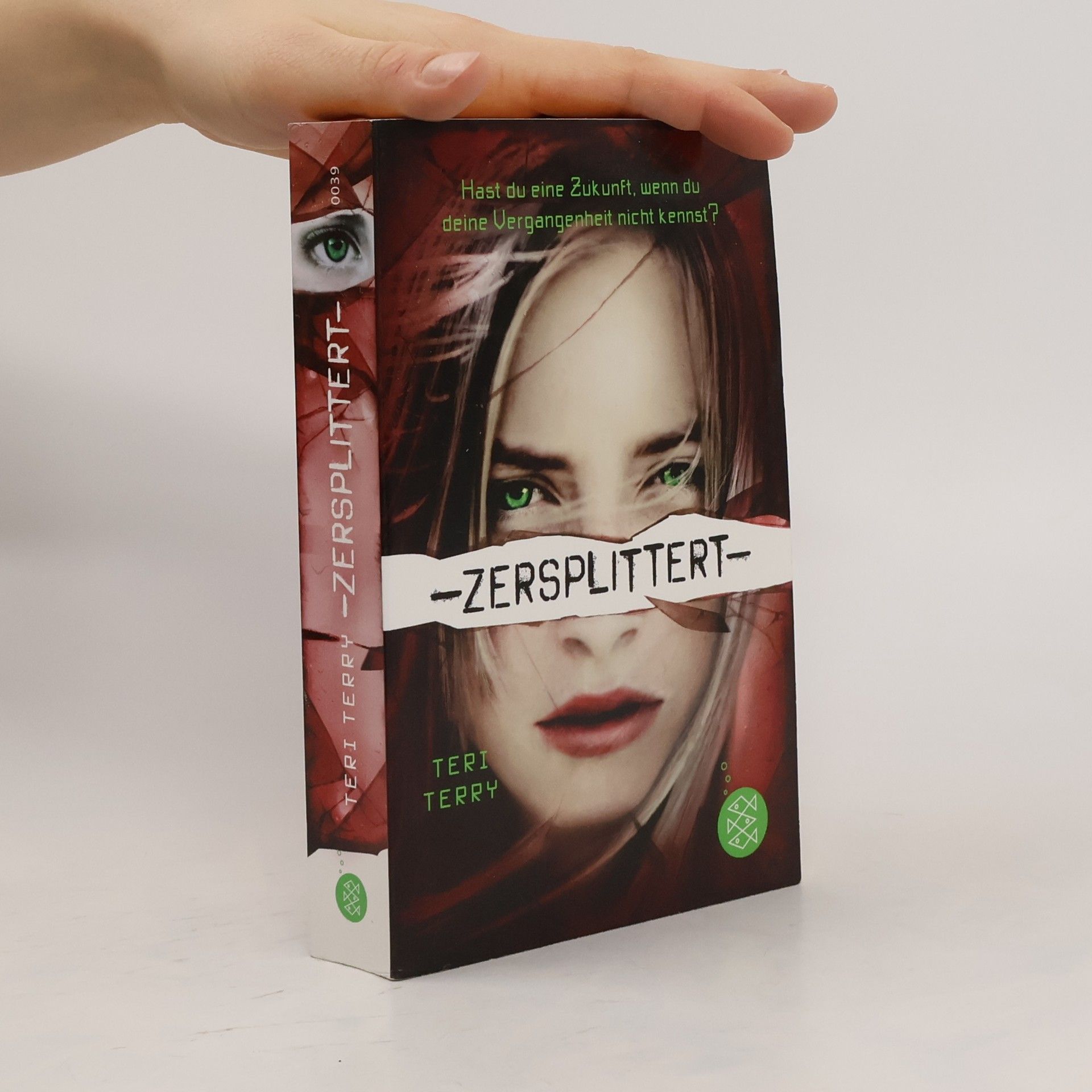 Teri Terry Zersplittert