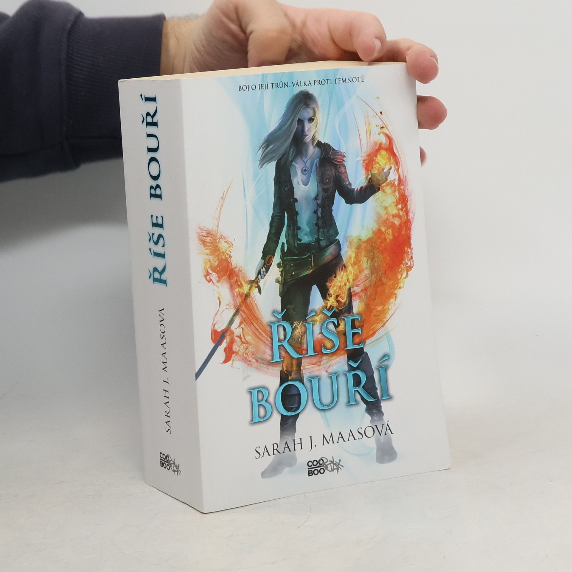 Sarah J. Maas Říše bouří
