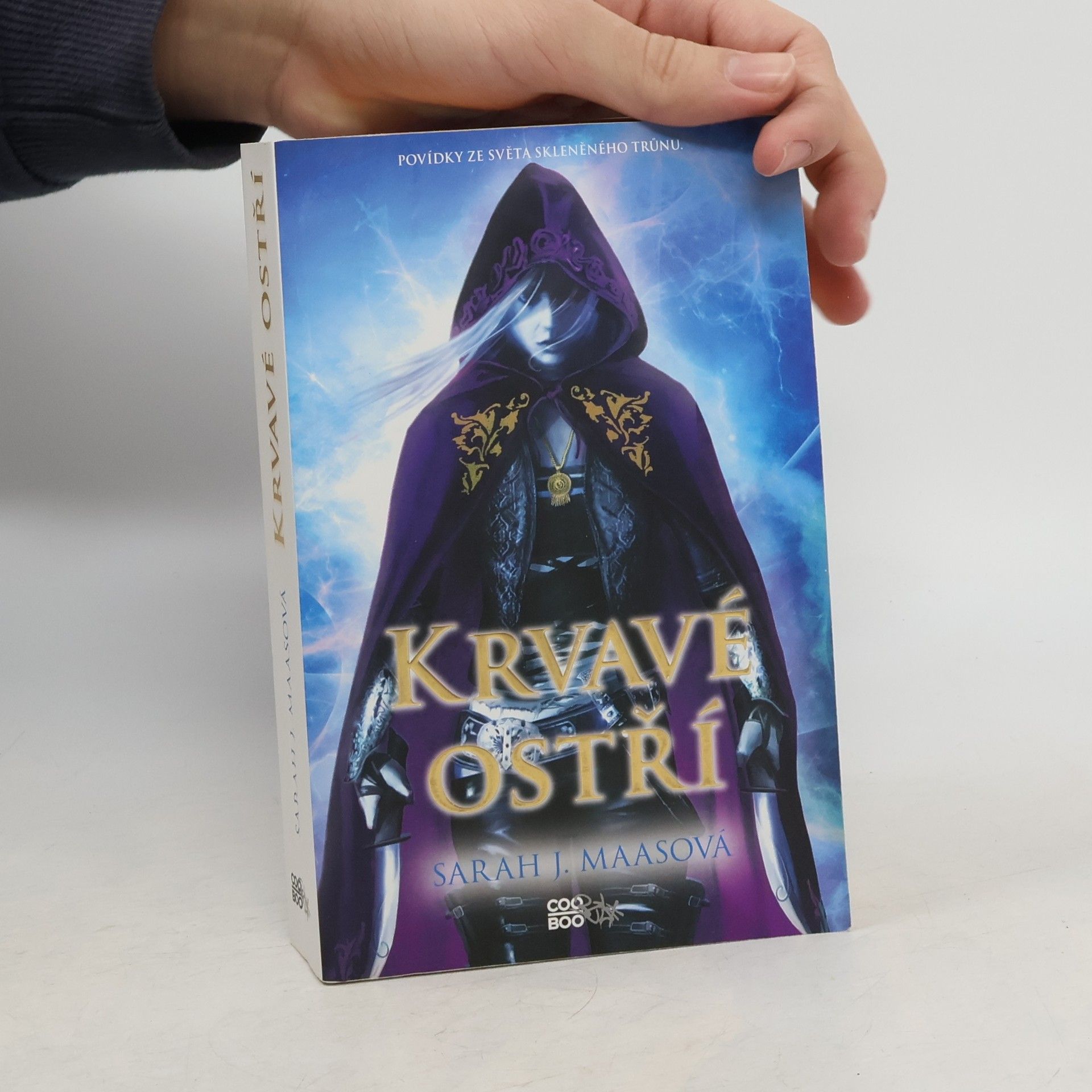 Sarah J. Maas Krvavé ostří