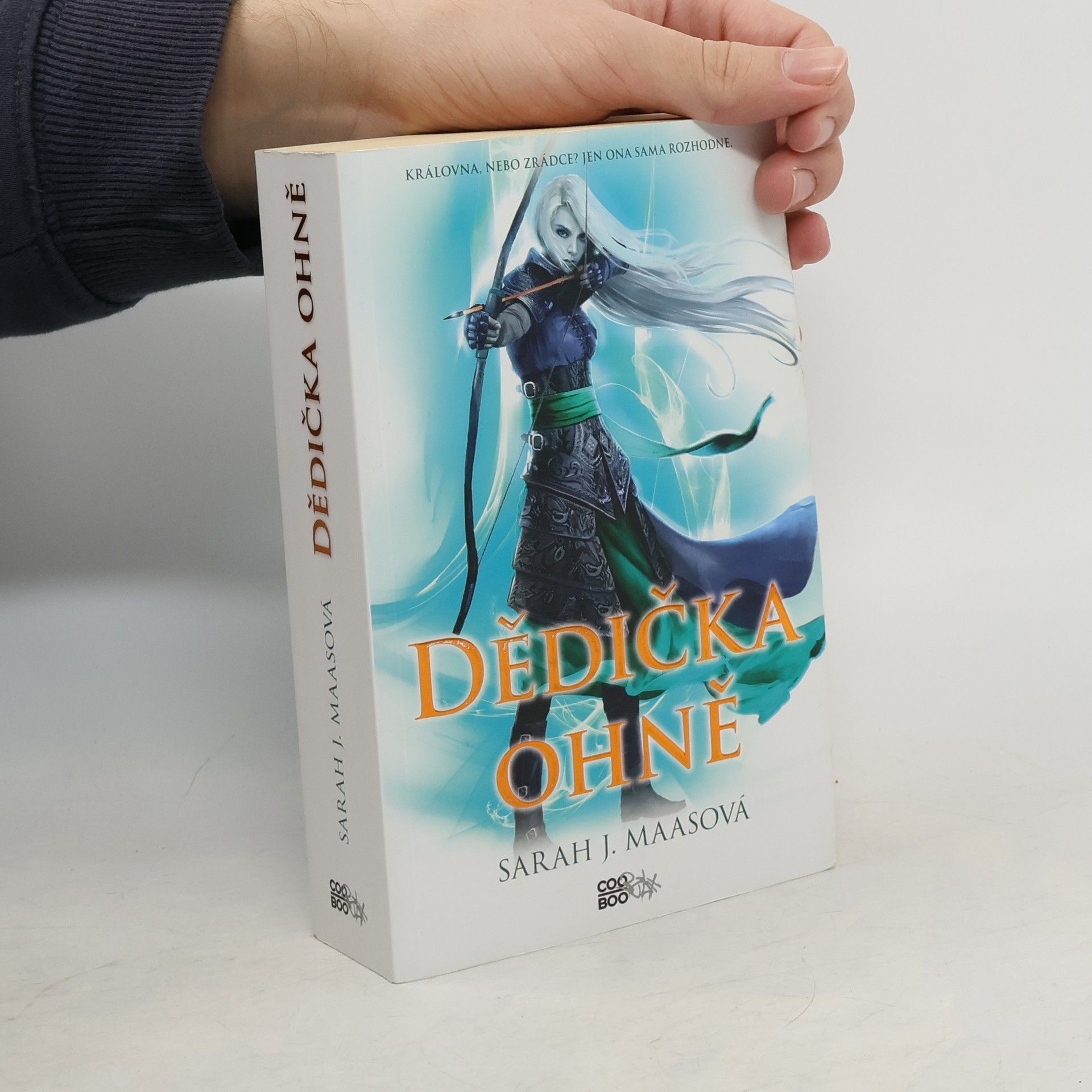 Sarah J. Maas Dědička ohně